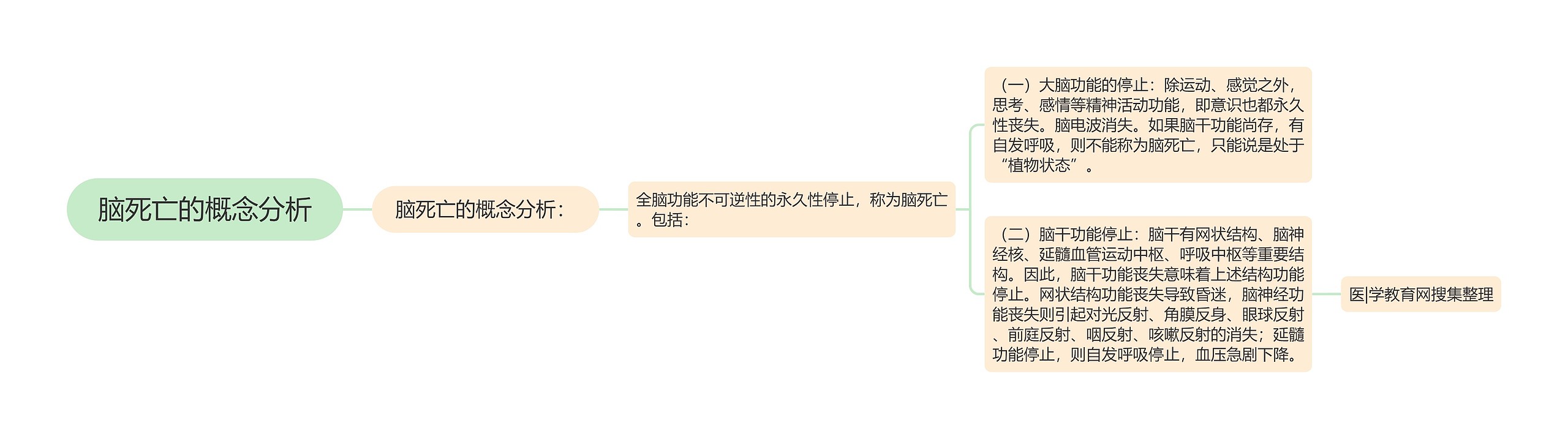 脑死亡的概念分析