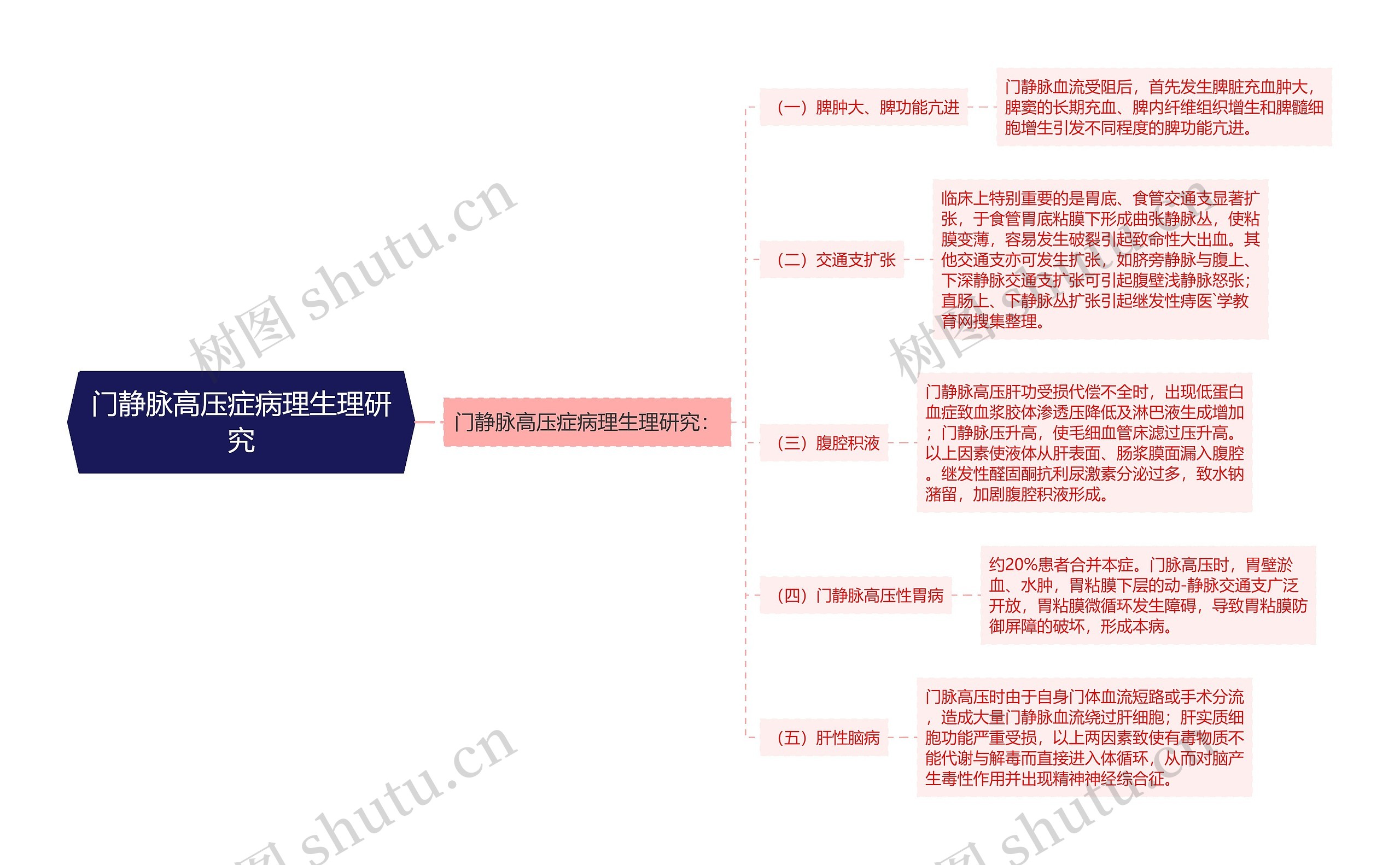 门静脉高压症病理生理研究思维导图