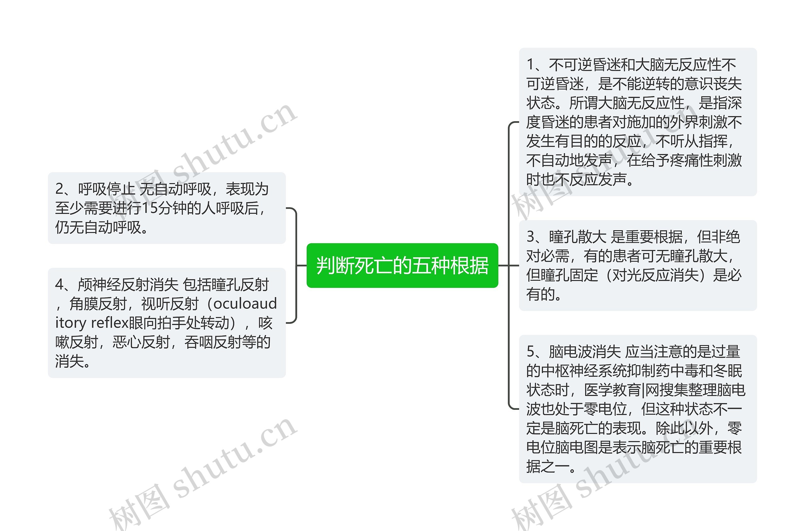 判断死亡的五种根据思维导图