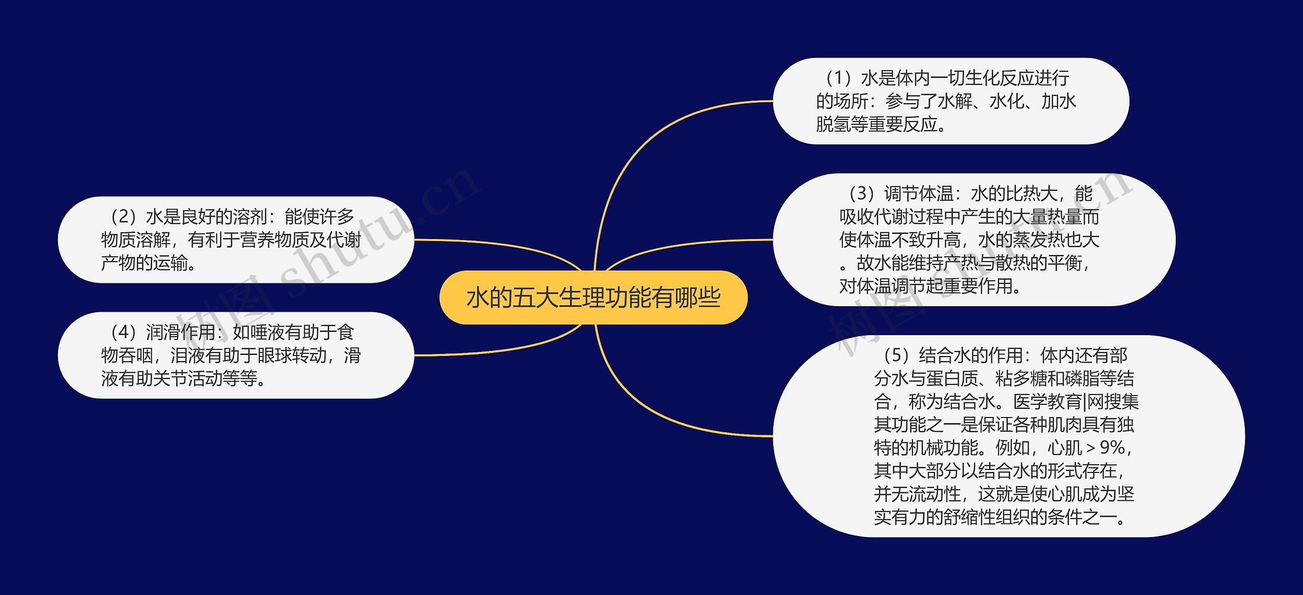 水的五大生理功能有哪些思维导图