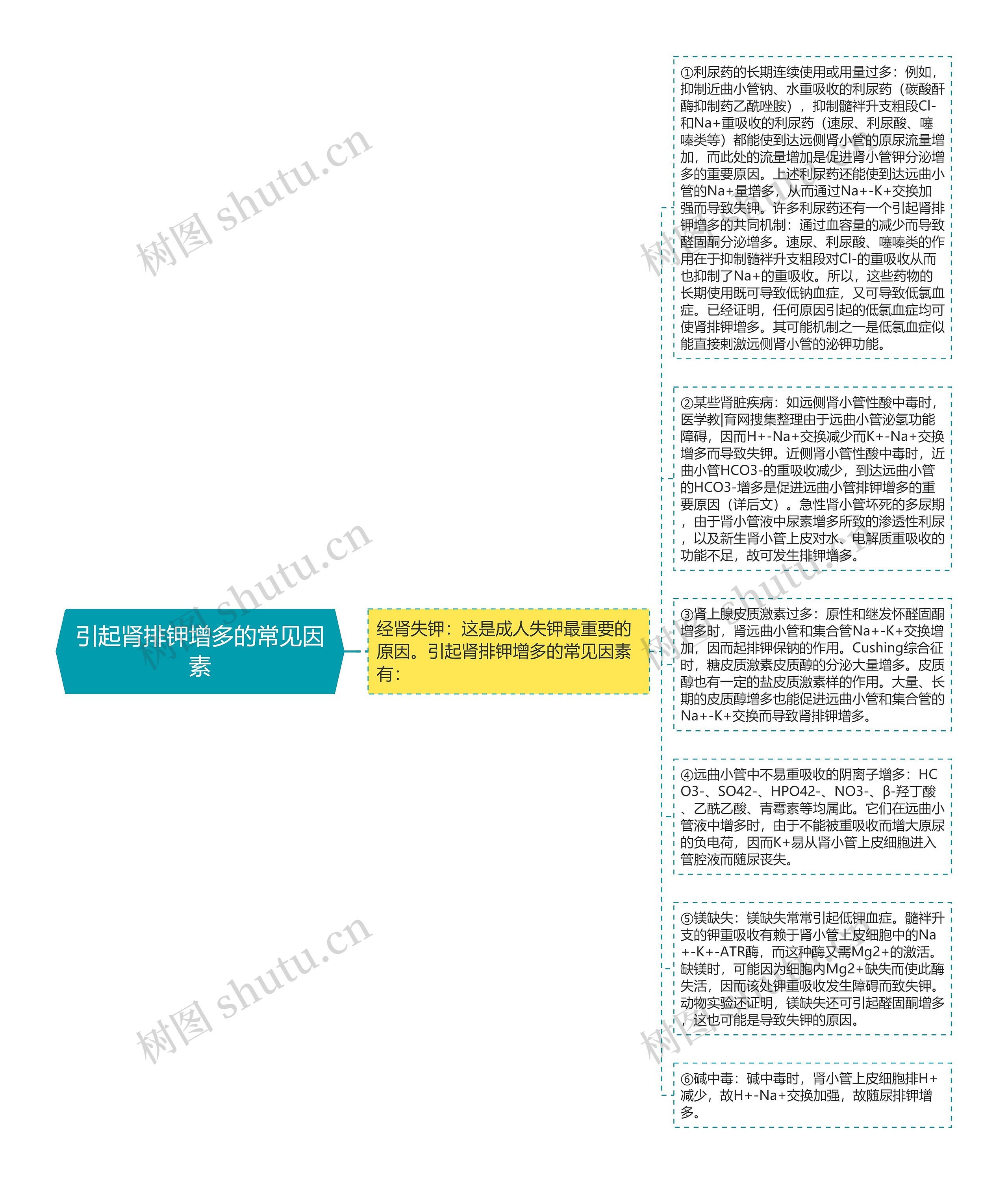 引起肾排钾增多的常见因素思维导图