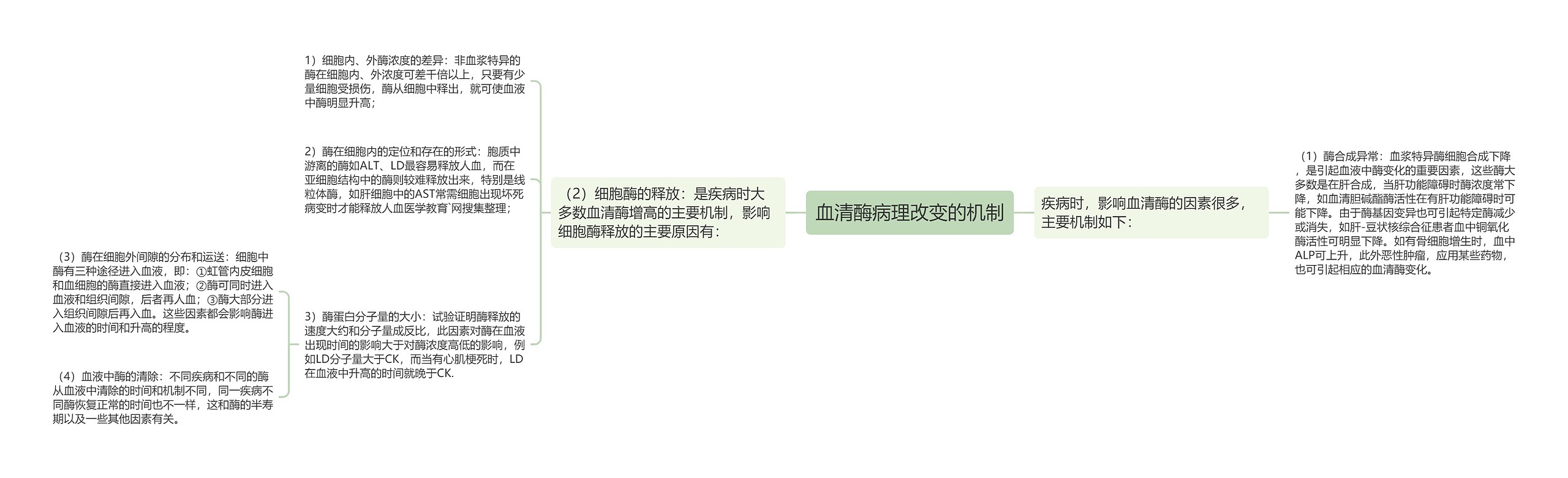 血清酶病理改变的机制思维导图