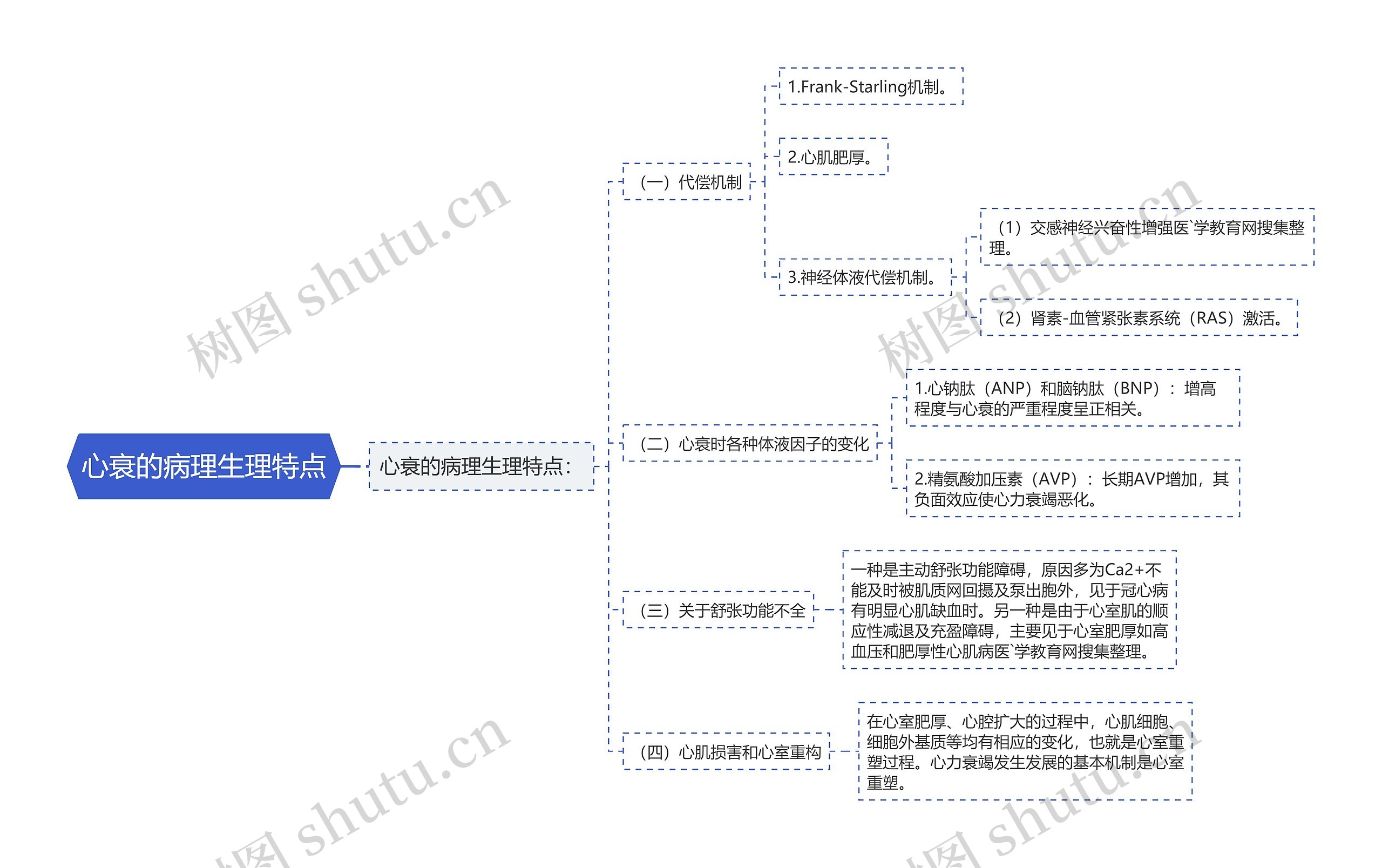 心衰的病理生理特点思维导图