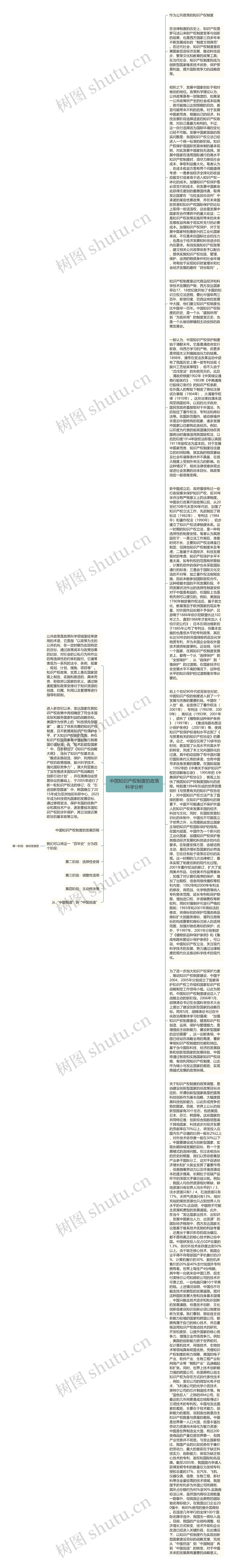 中国知识产权制度的政策科学分析思维导图