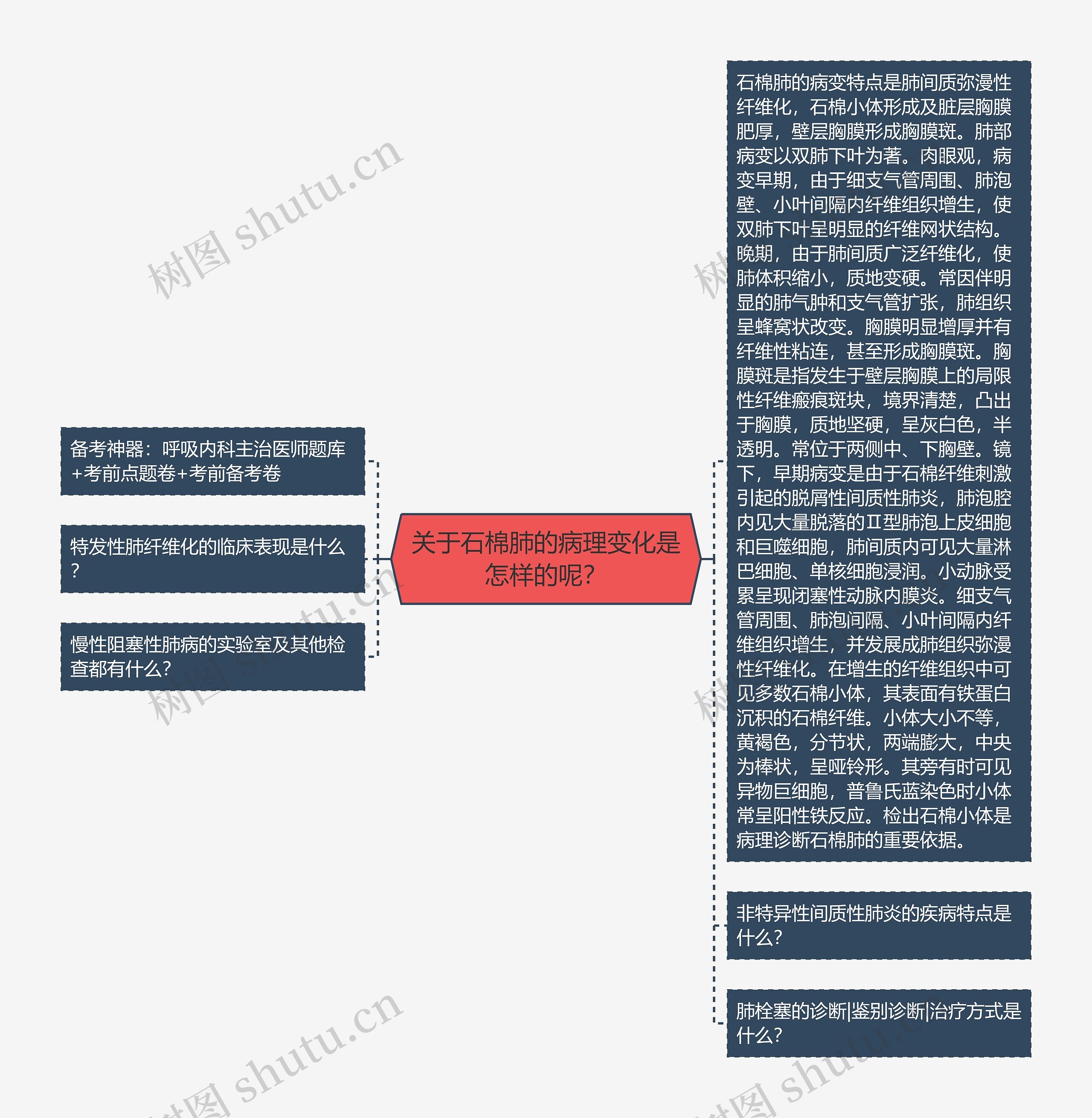 关于石棉肺的病理变化是怎样的呢？