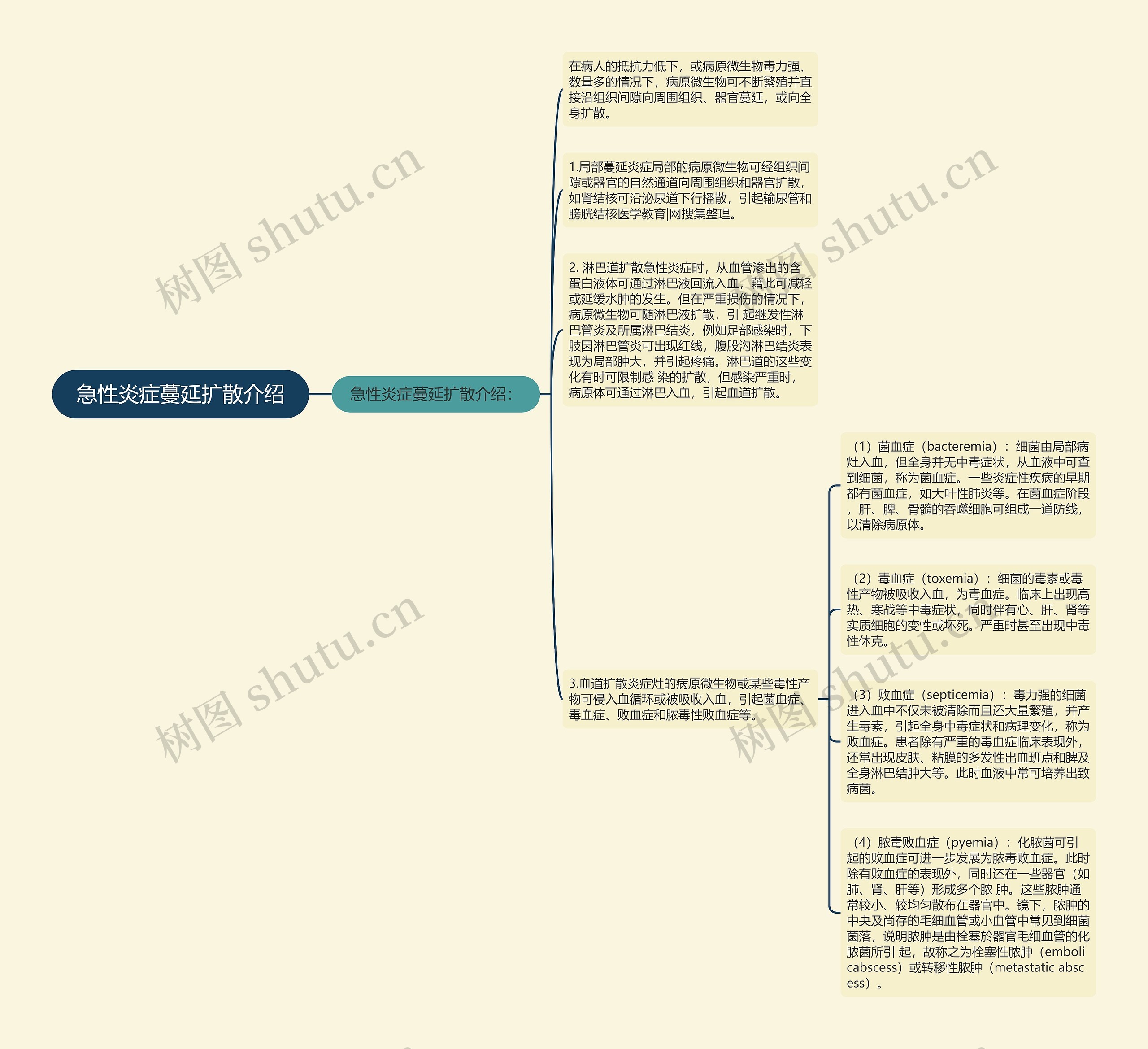 急性炎症蔓延扩散介绍