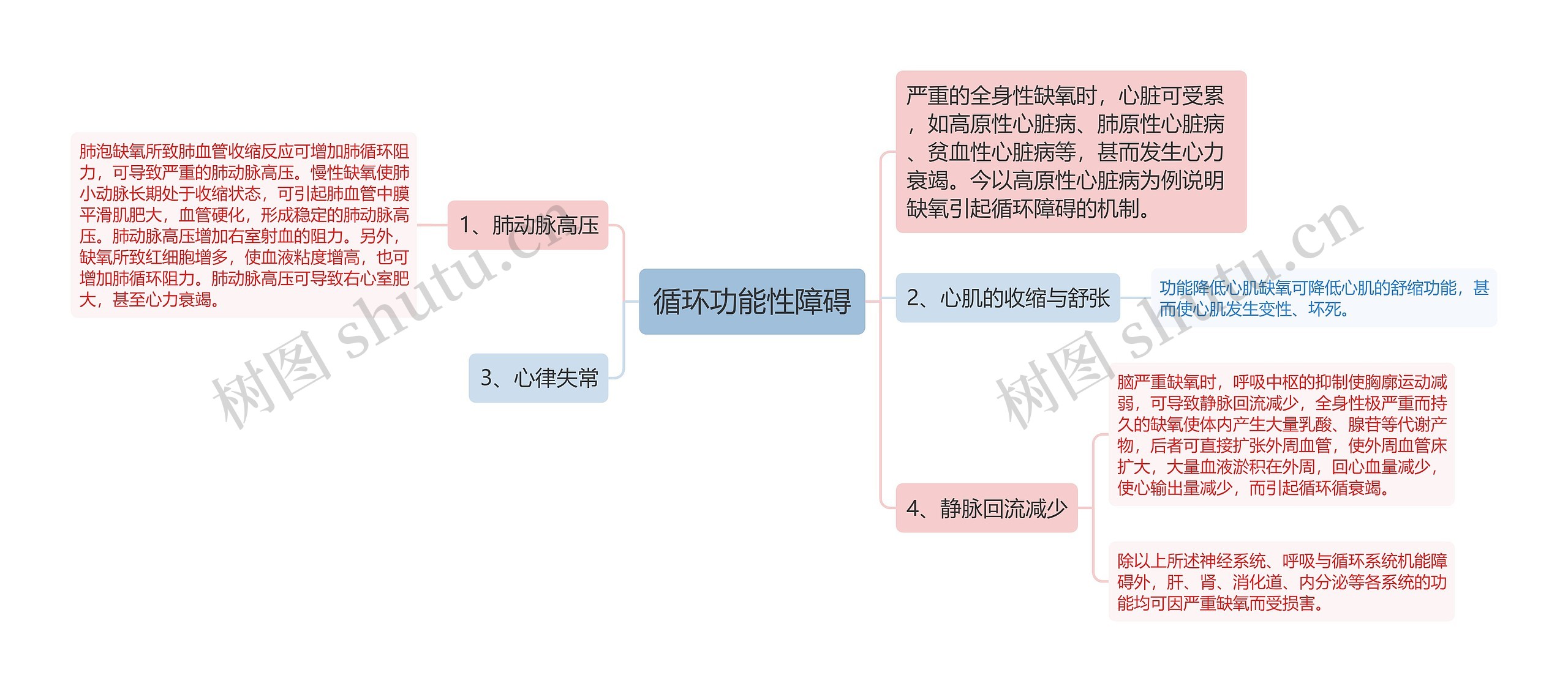 循环功能性障碍