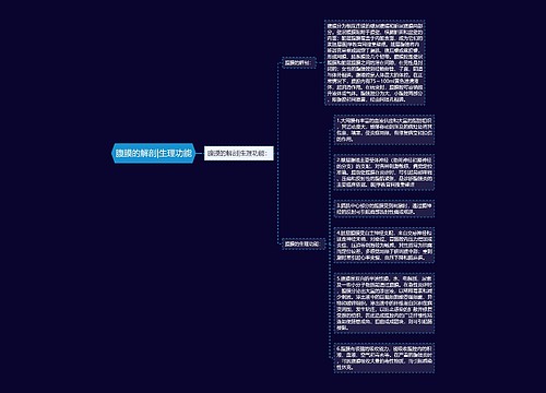 腹膜的解剖|生理功能