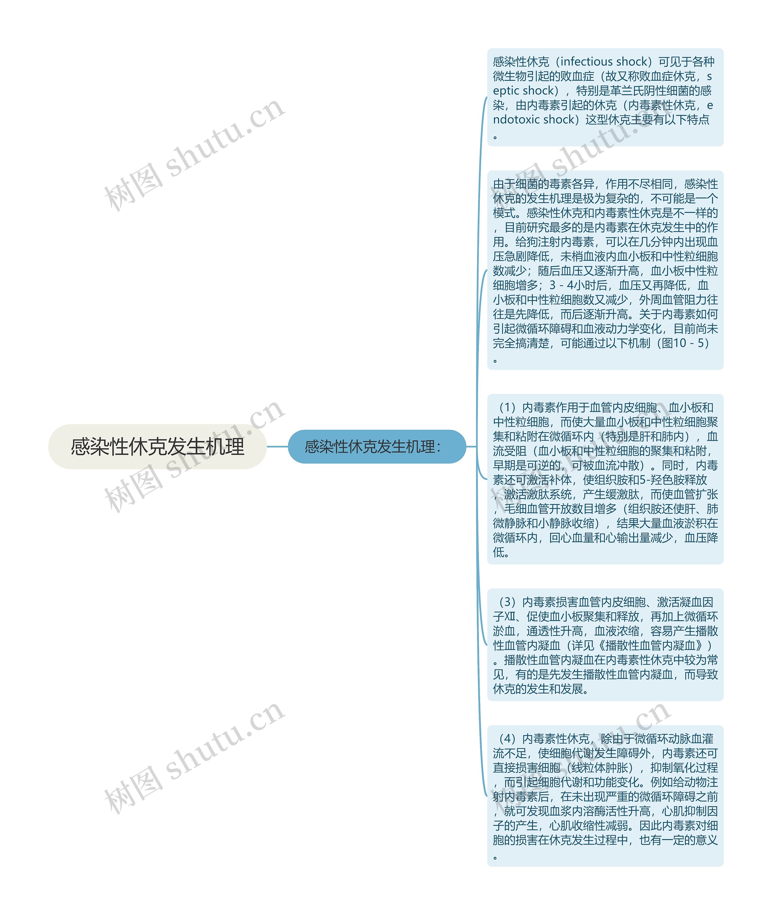 感染性休克发生机理思维导图