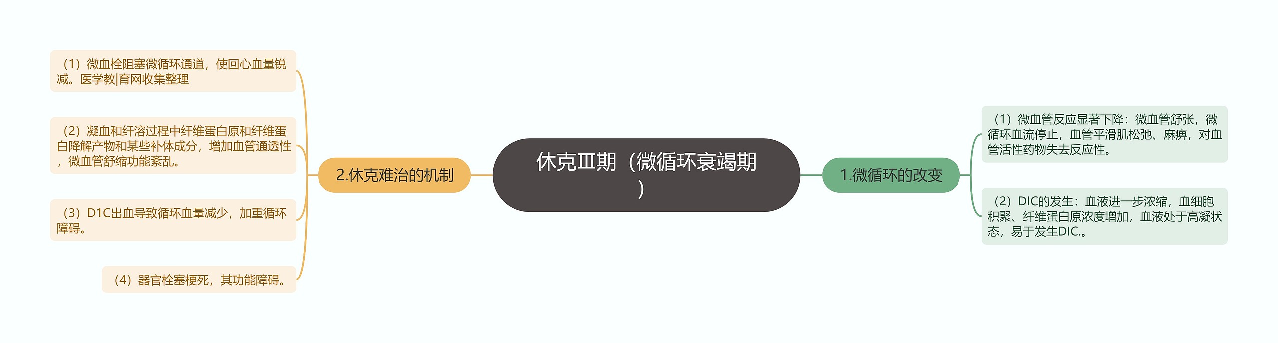 休克Ⅲ期(微循环衰竭期) 休克Ⅲ期(微循环衰竭期)