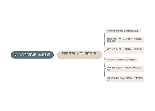 VEC的抗凝作用-病理生理