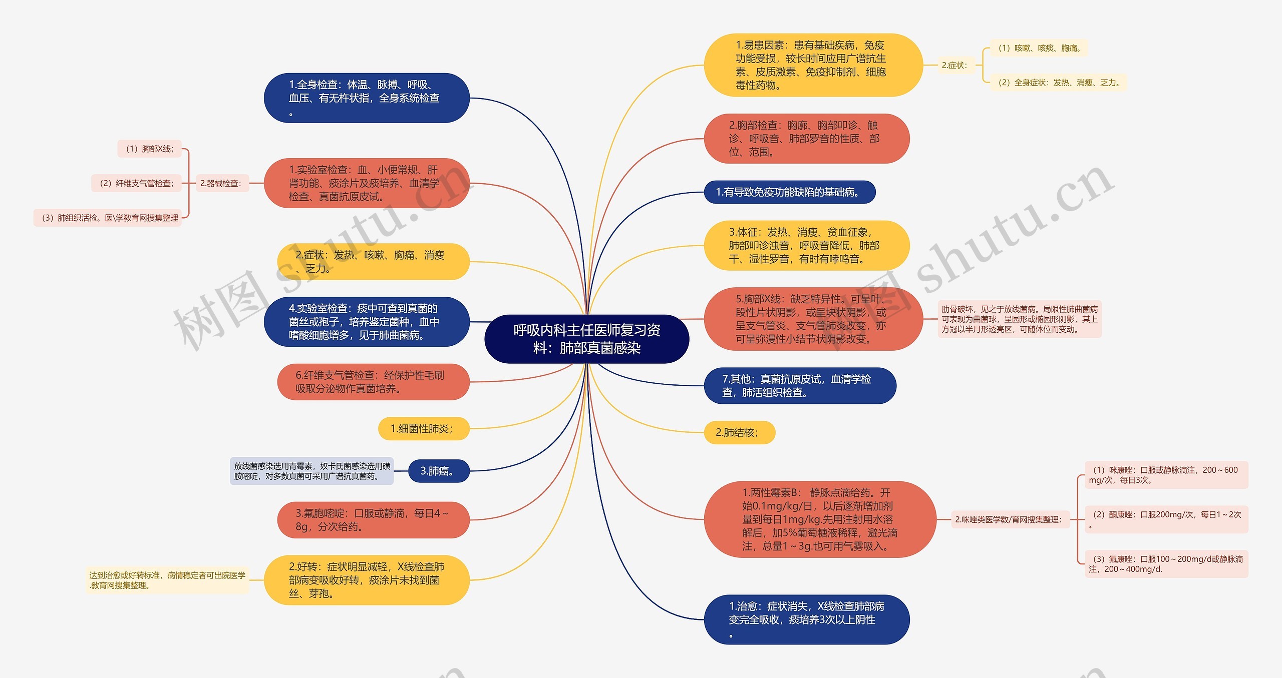 呼吸内科主任医师复习资料：肺部真菌感染思维导图