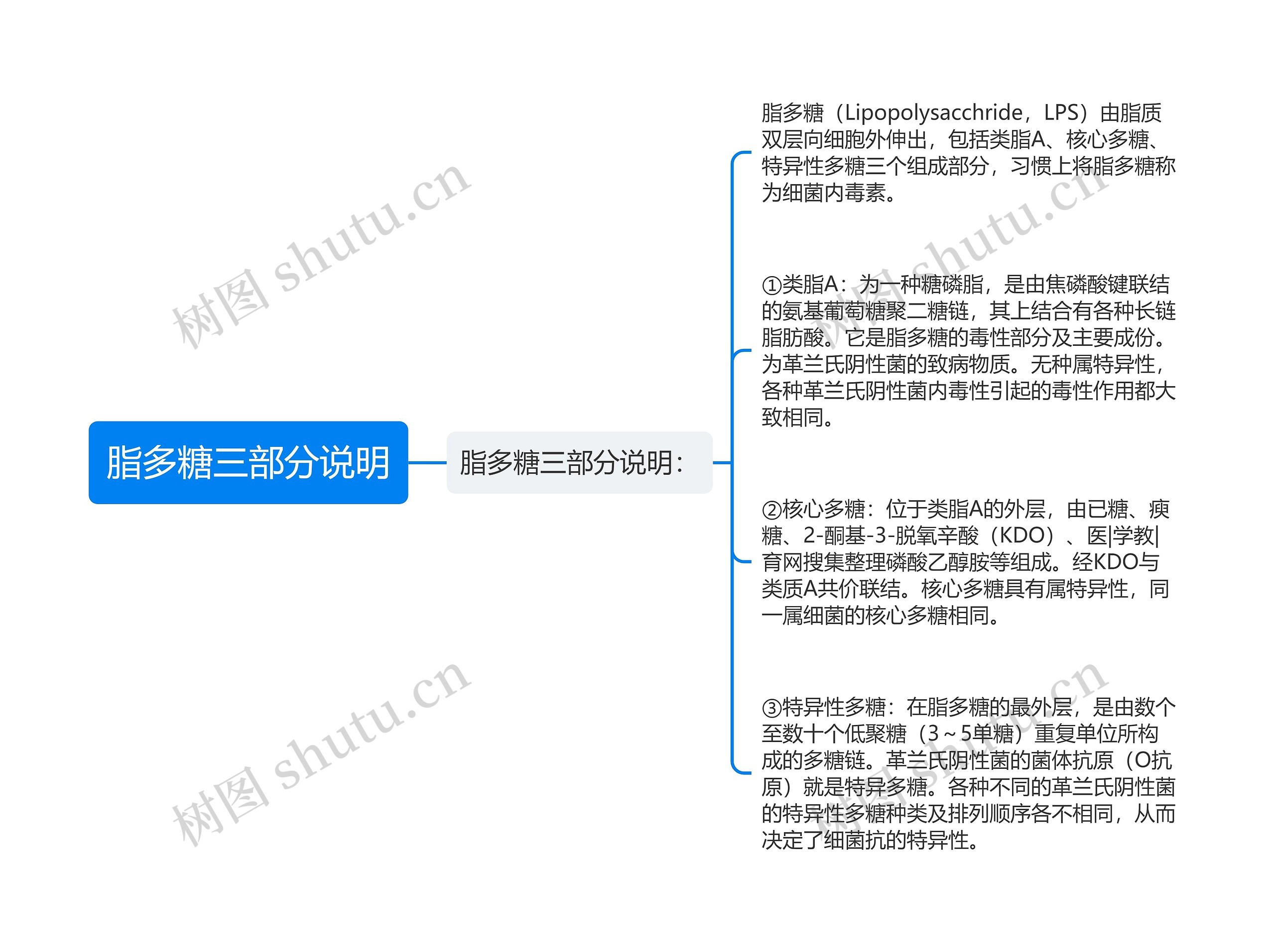 脂多糖三部分说明