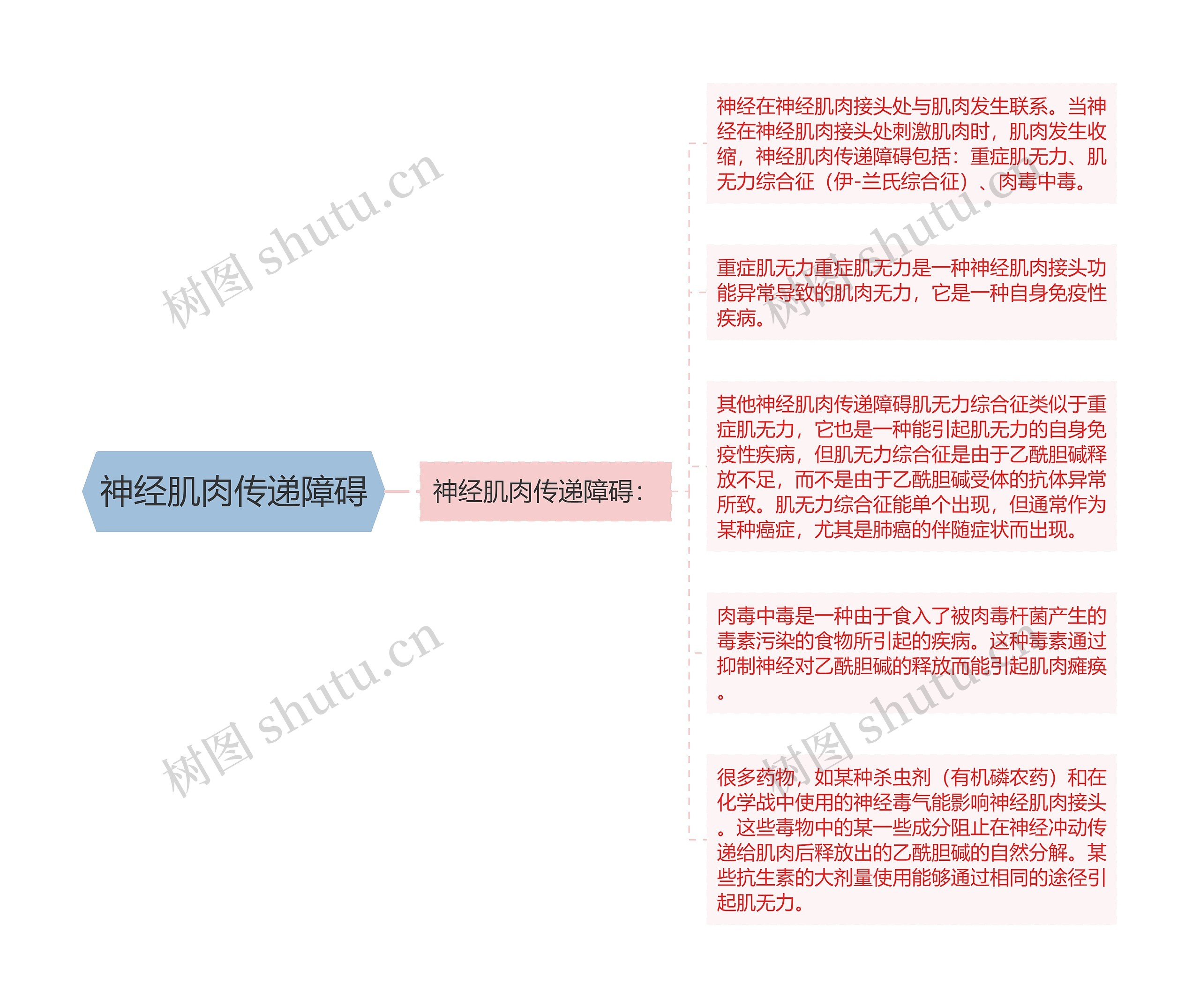 神经肌肉传递障碍思维导图