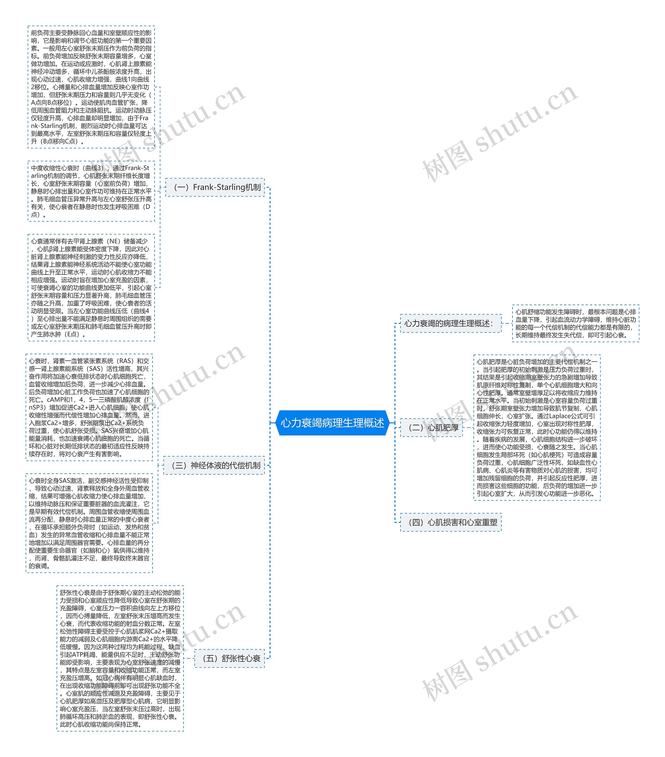 心力衰竭病理生理概述 心力衰竭病理生理概述