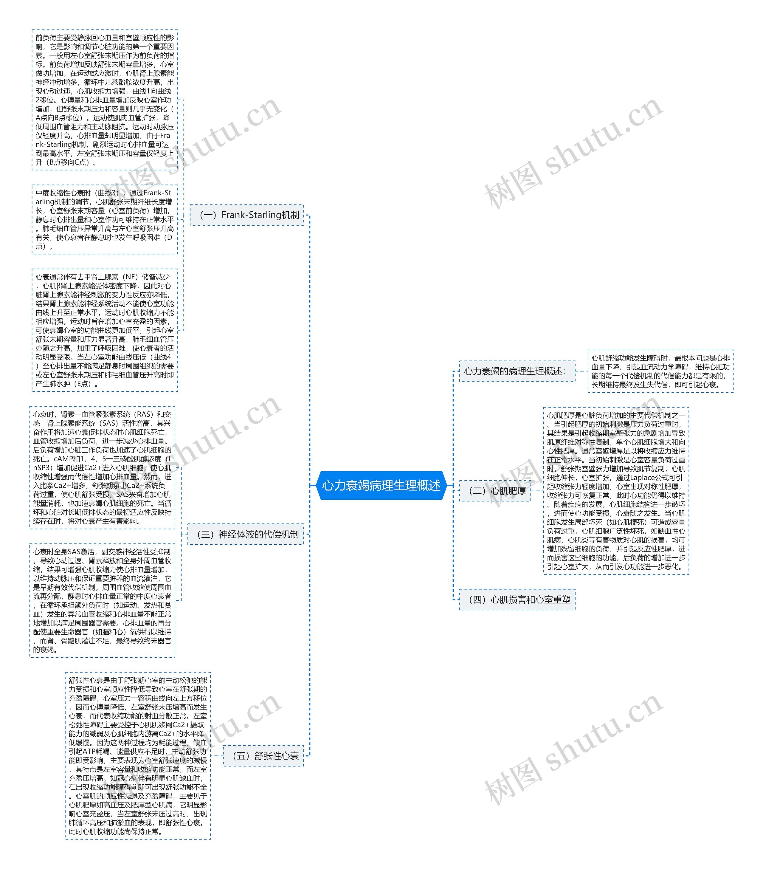 心力衰竭病理生理概述思维导图