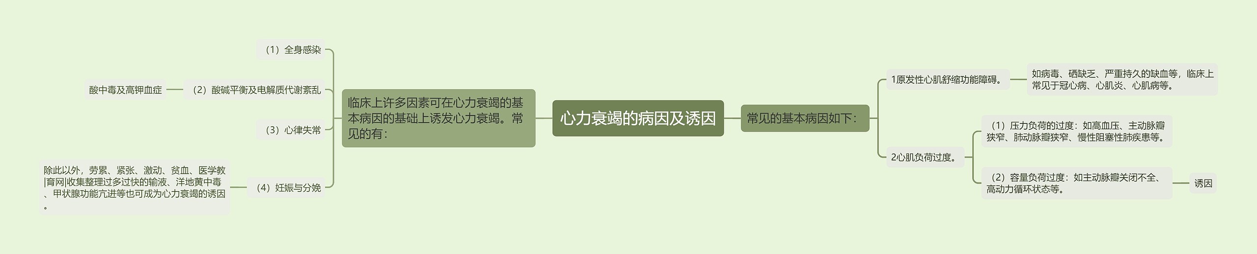 心力衰竭的病因及诱因 心力衰竭的病因及诱因