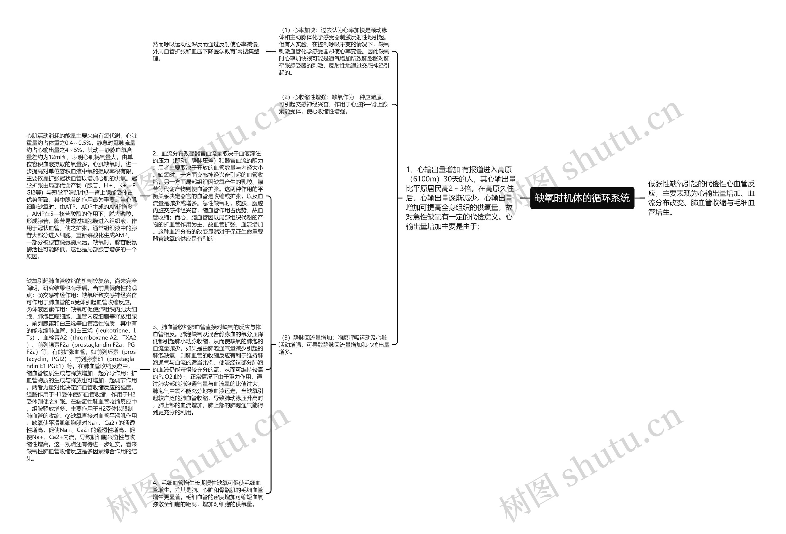 缺氧时机体的循环系统思维导图