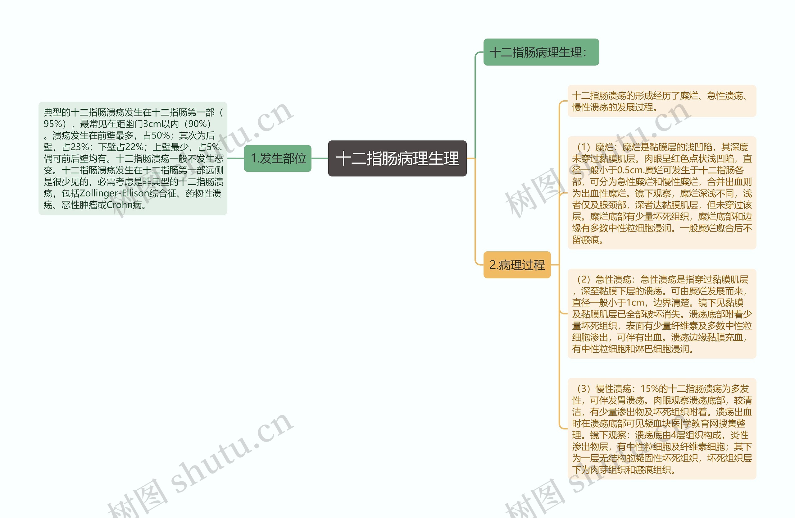 十二指肠病理生理