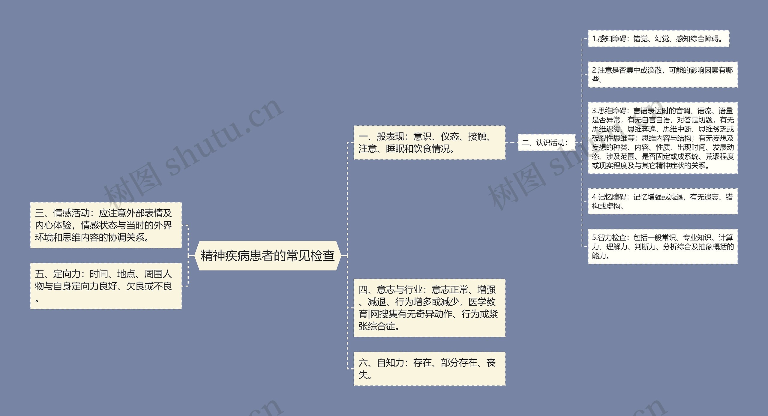 精神疾病患者的常见检查思维导图