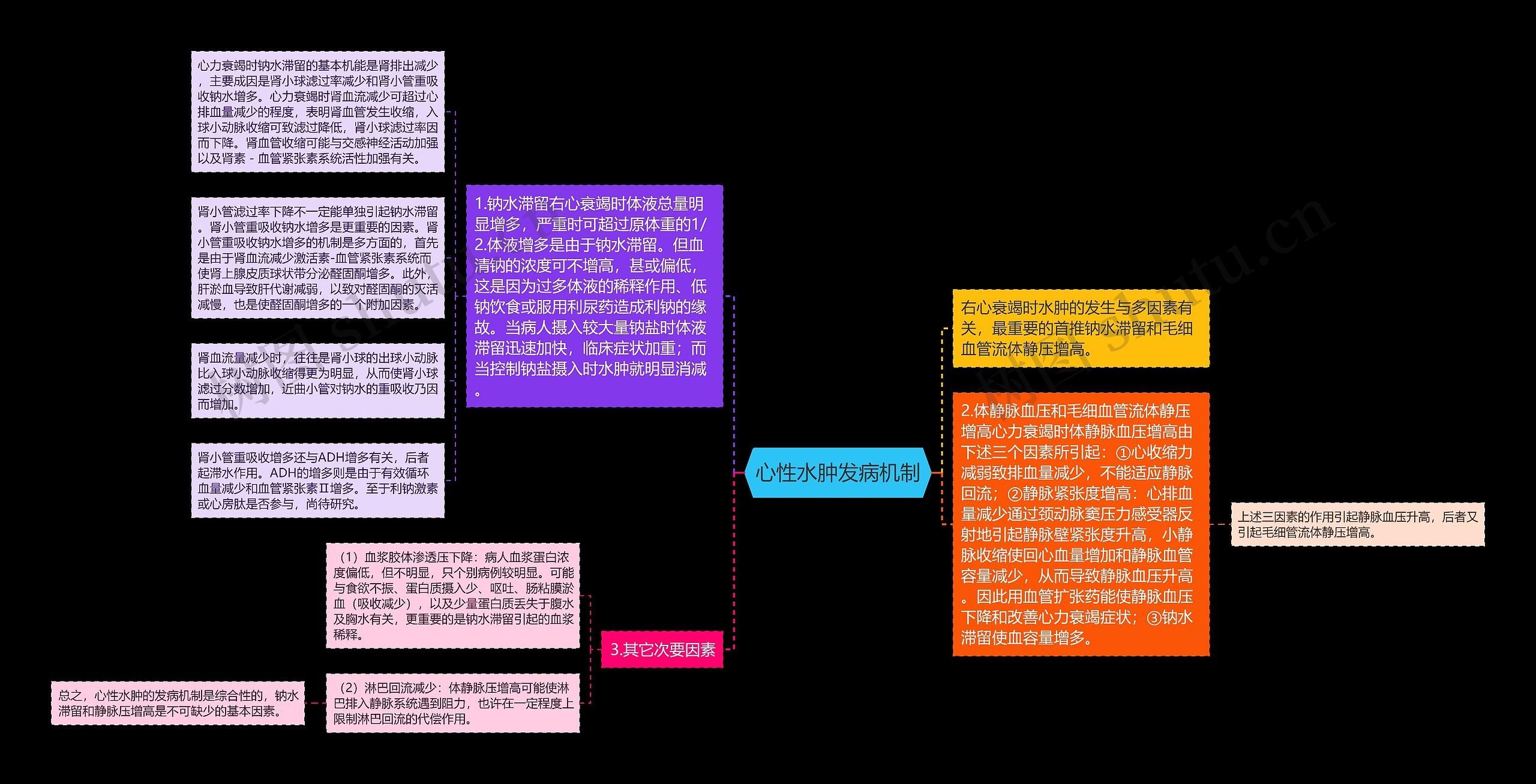 心性水肿发病机制思维导图