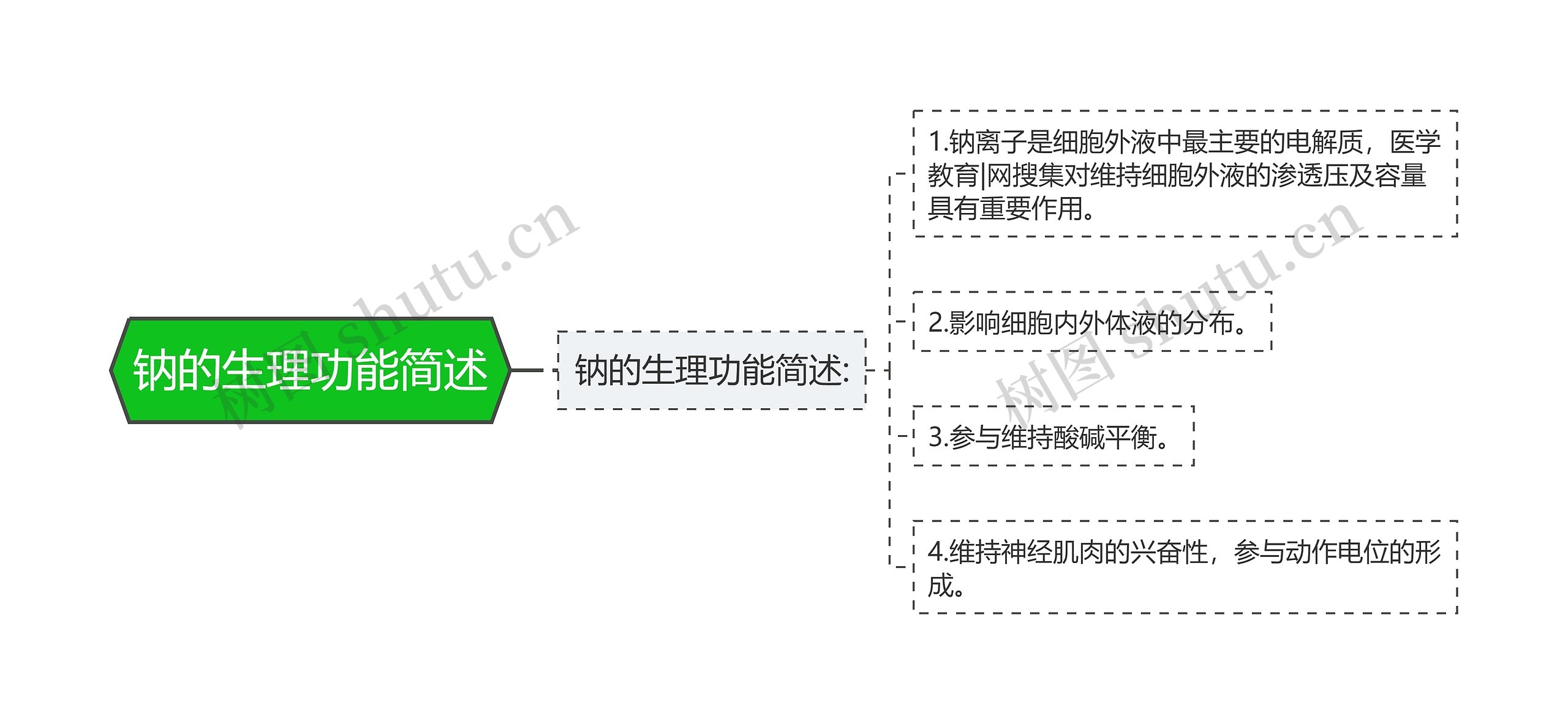 钠的生理功能简述思维导图