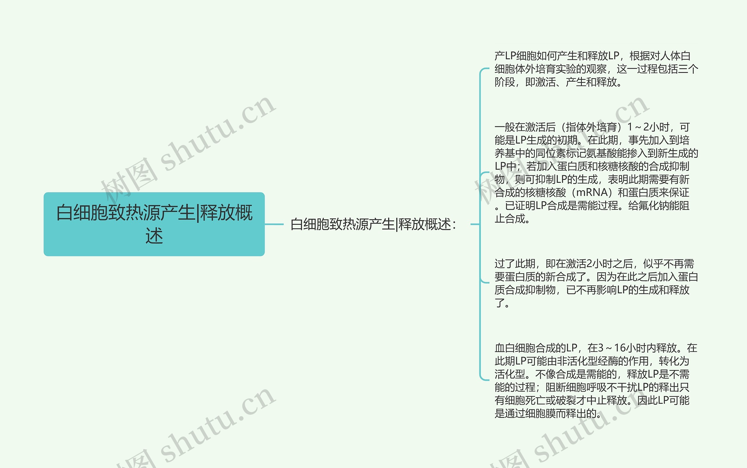 白细胞致热源产生|释放概述 白细胞致热源产生|释放概述