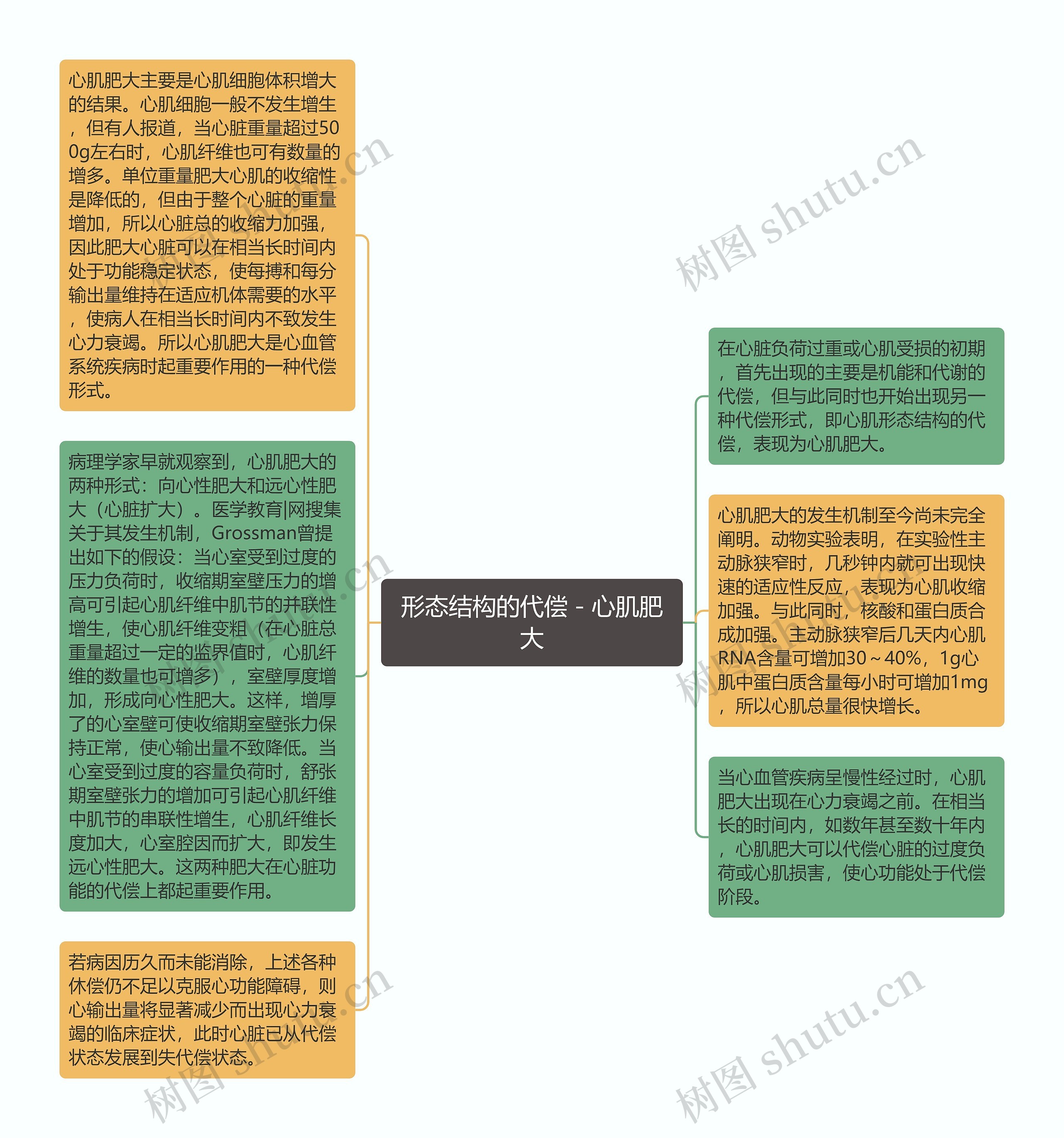 形态结构的代偿－心肌肥大思维导图