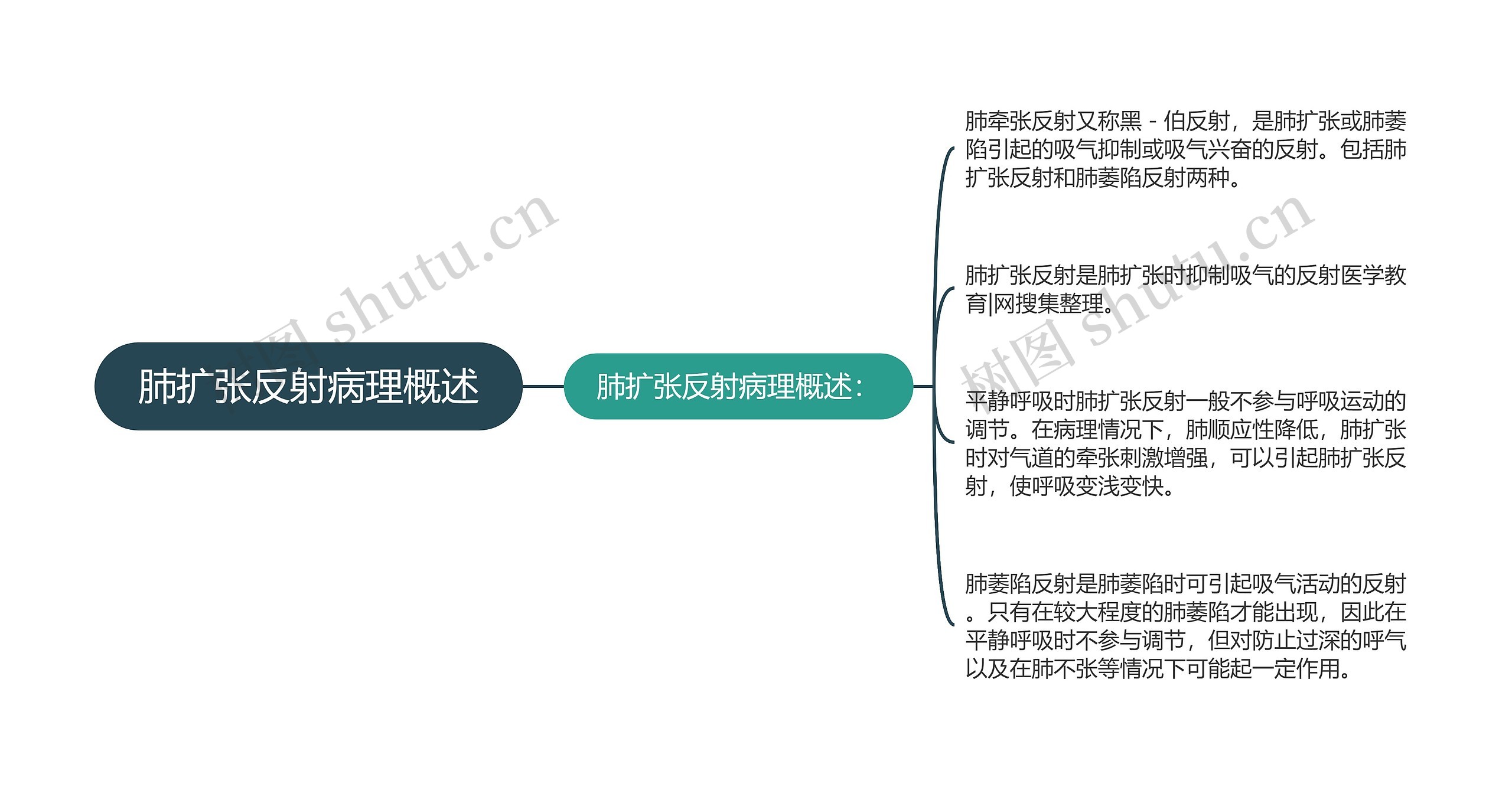 肺扩张反射病理概述思维导图