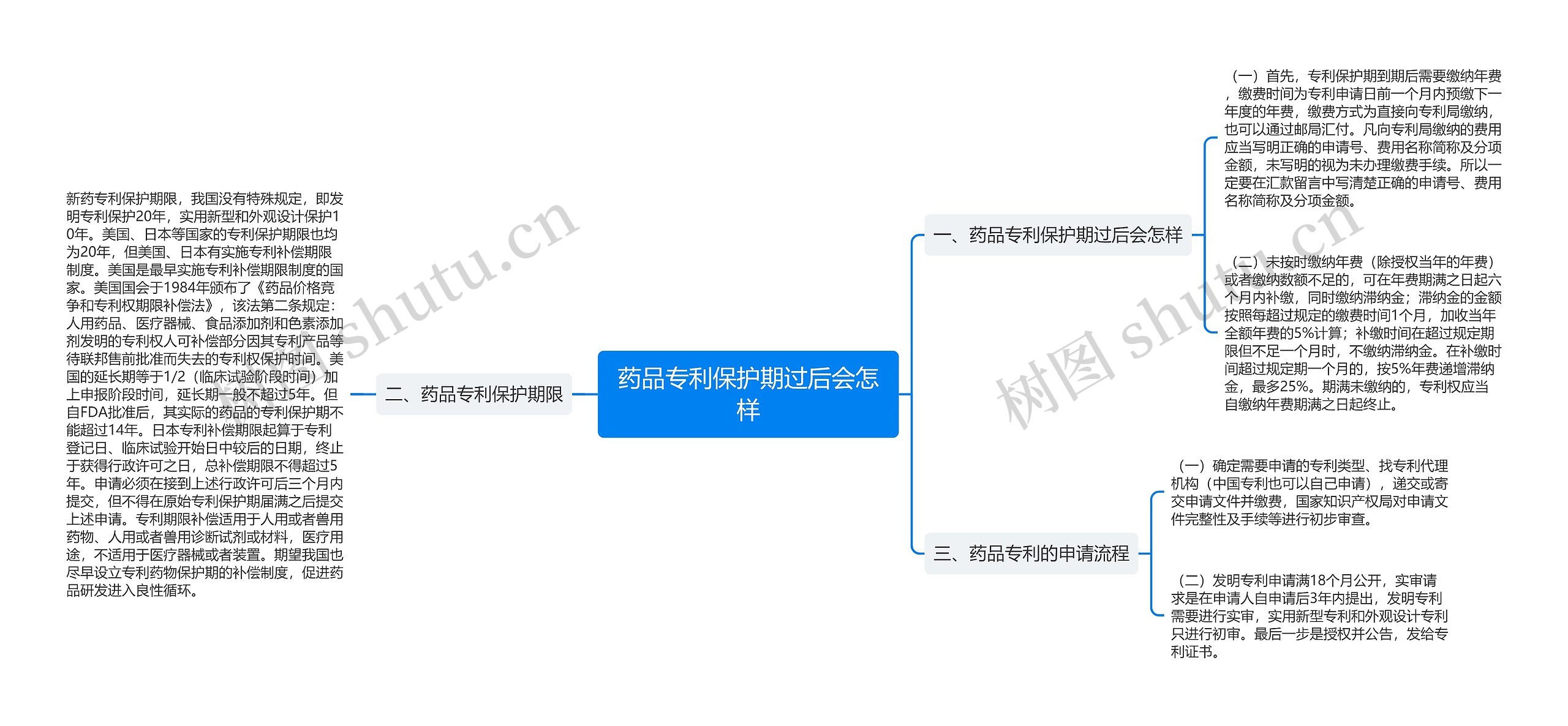 药品专利保护期过后会怎样思维导图