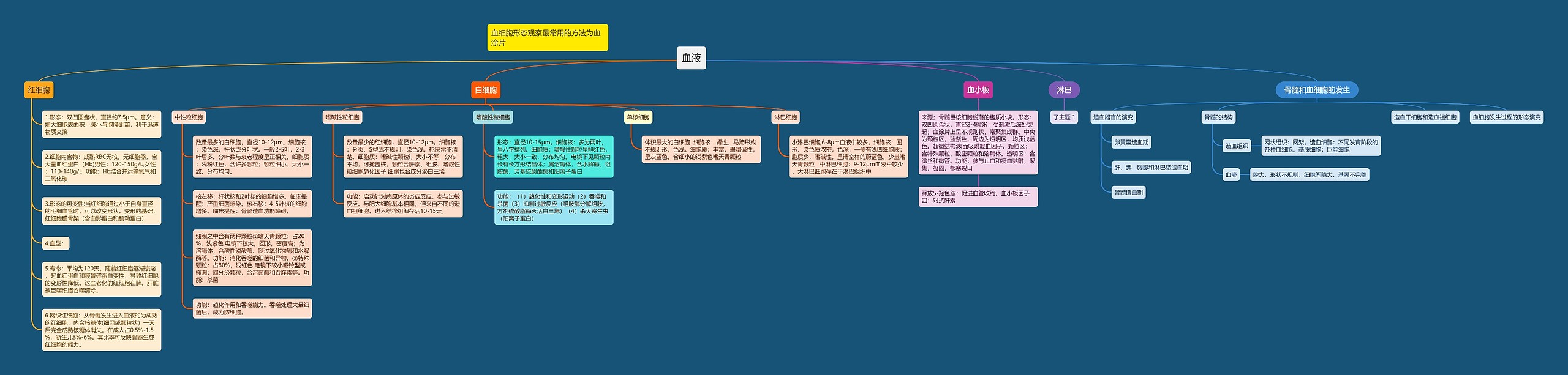 血液思维导图高清图 血液思维导图