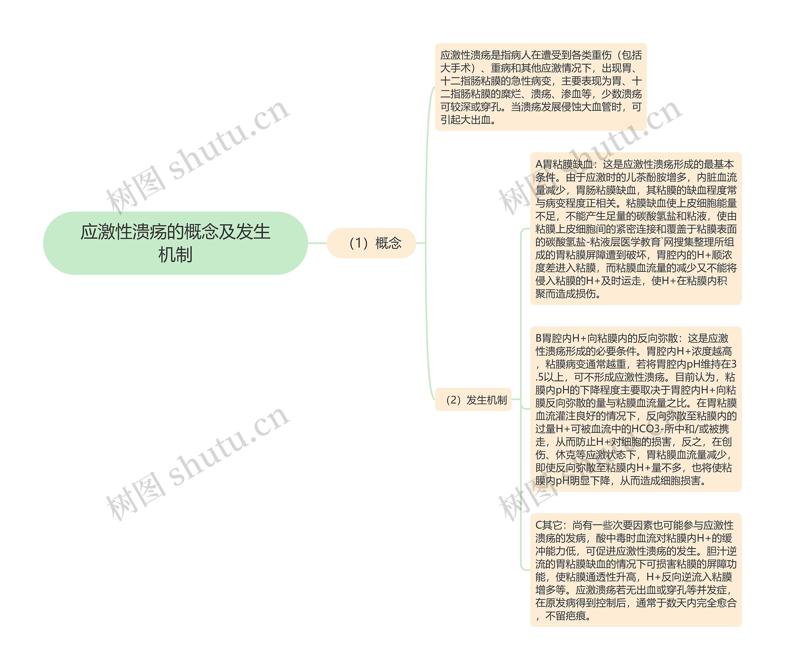 应激性溃疡的概念及发生机制思维导图