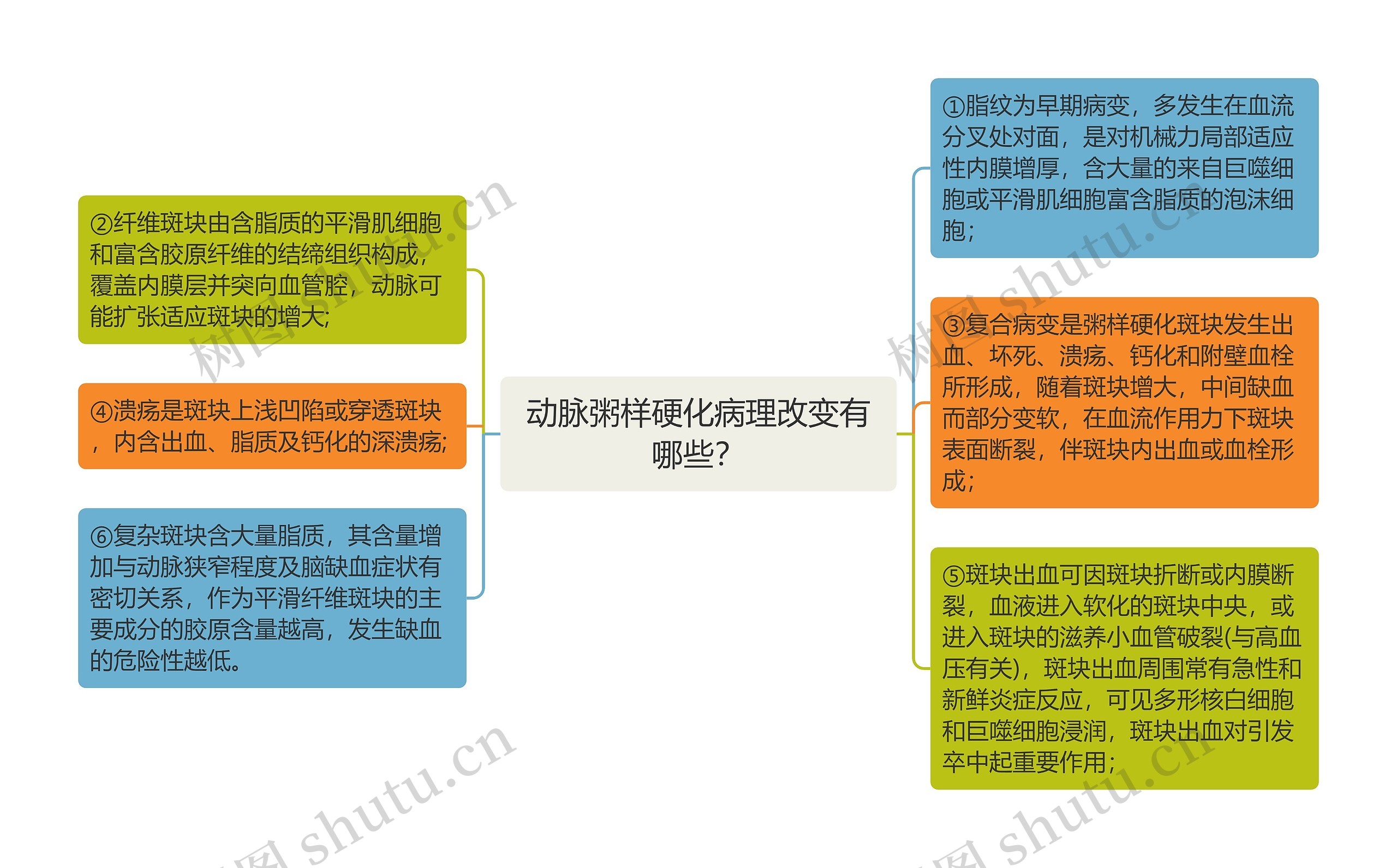 动脉粥样硬化病理改变有哪些？