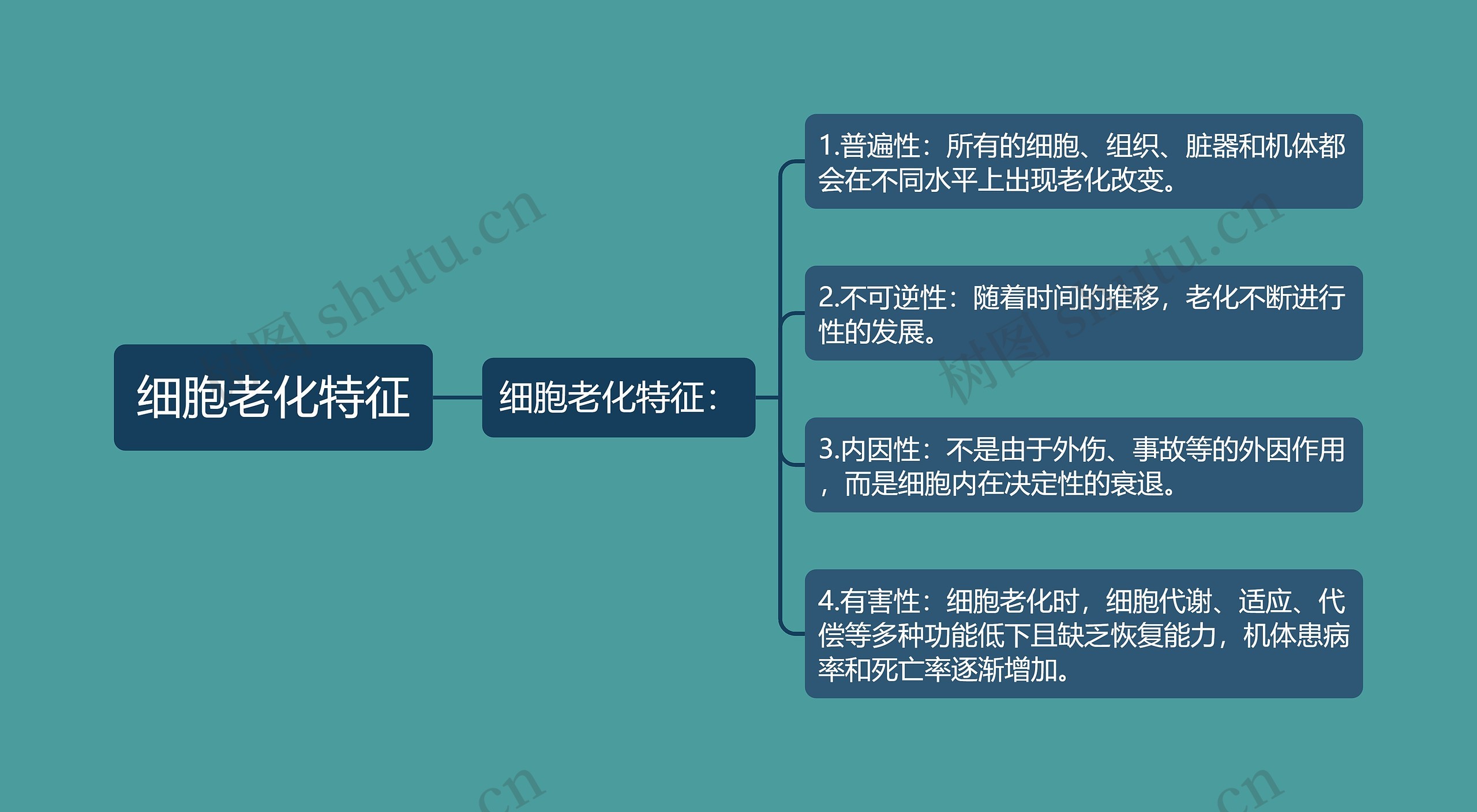 细胞老化特征思维导图