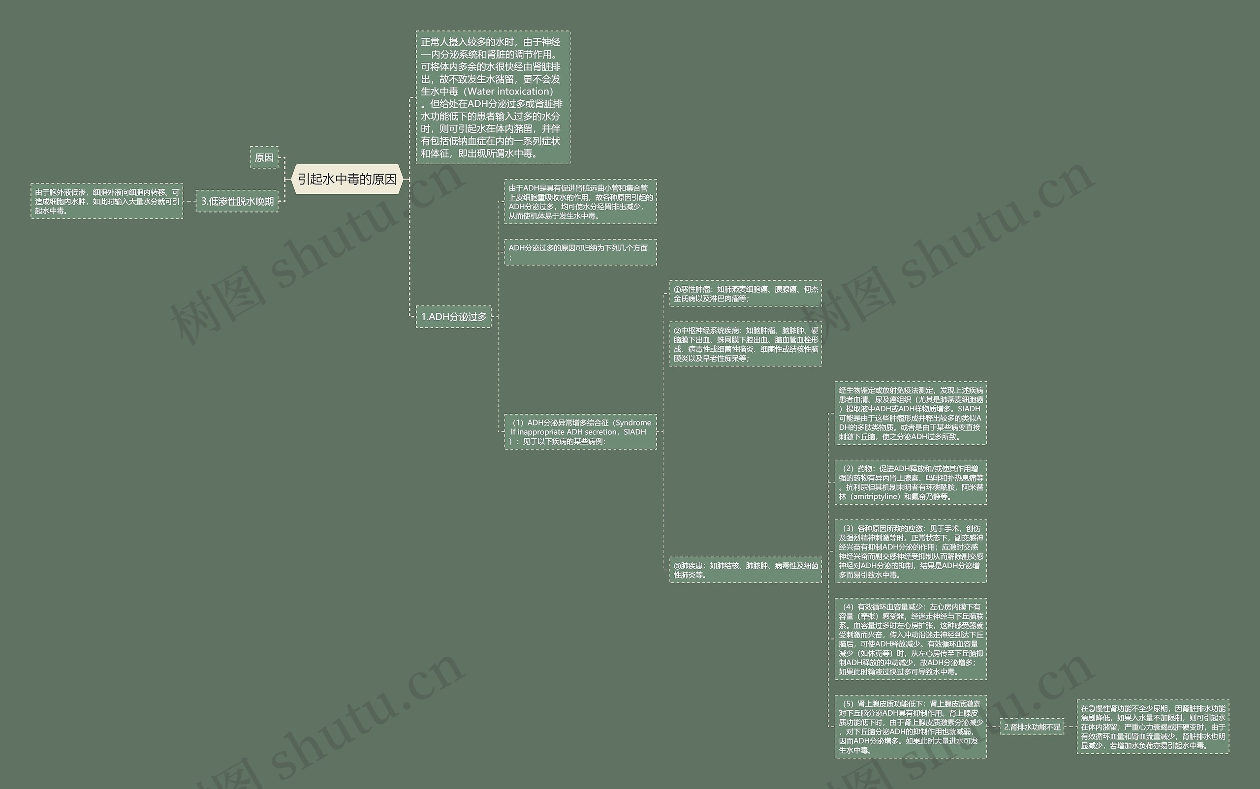 引起水中毒的原因思维导图