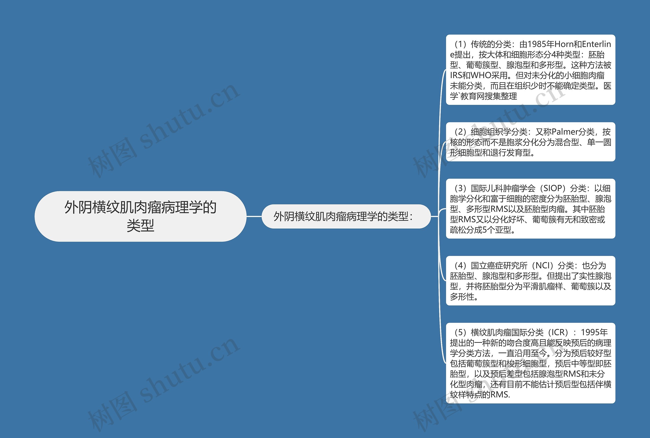 外阴横纹肌肉瘤病理学的类型思维导图