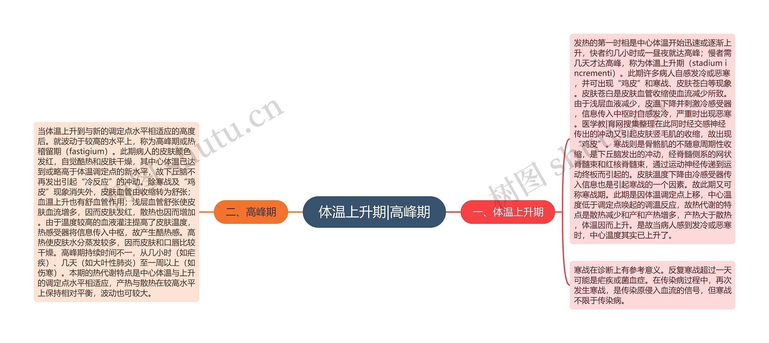 体温上升期|高峰期 体温上升期|高峰期