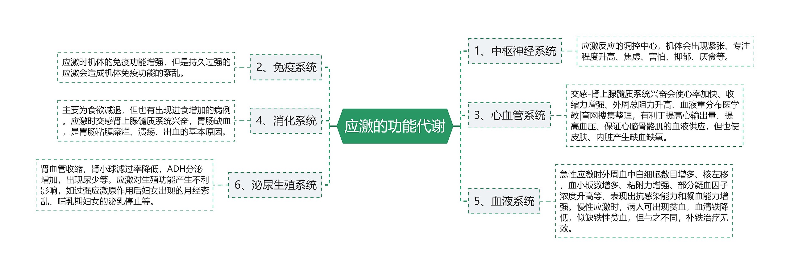 应激的功能代谢思维导图