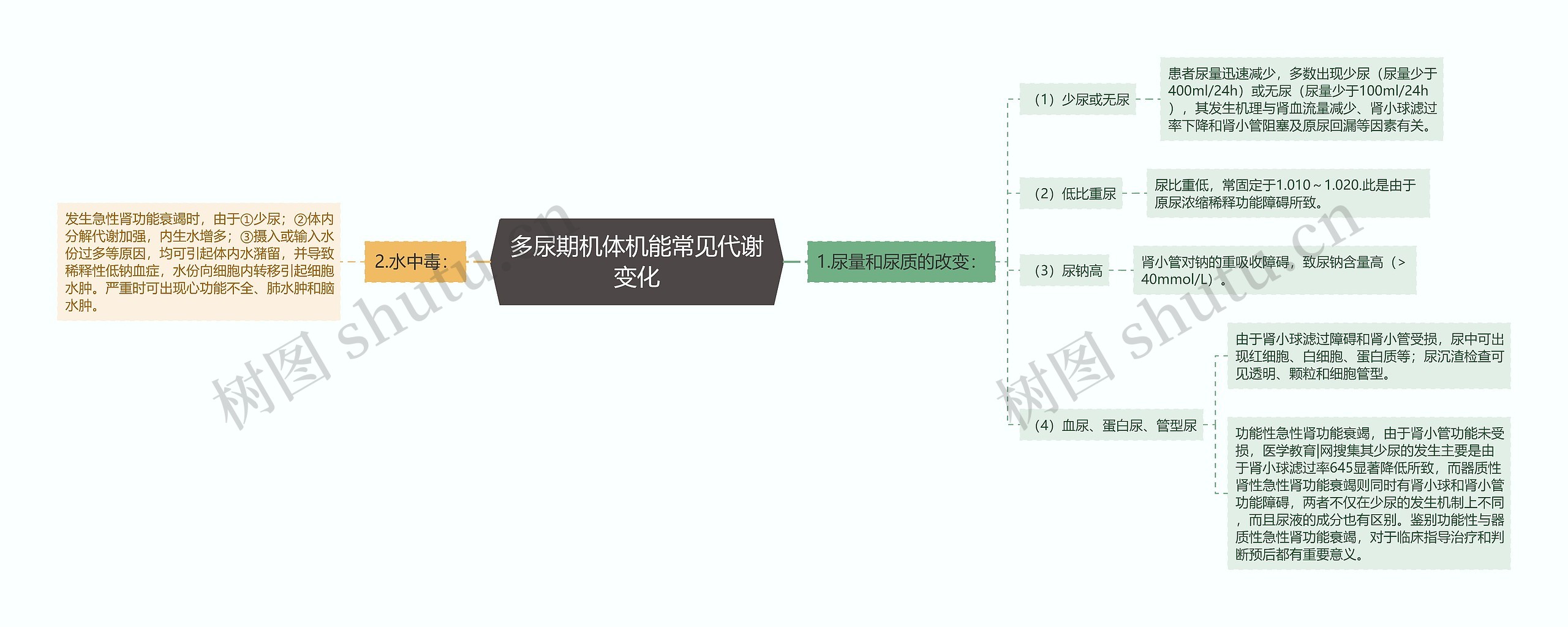 多尿期机体机能常见代谢变化思维导图