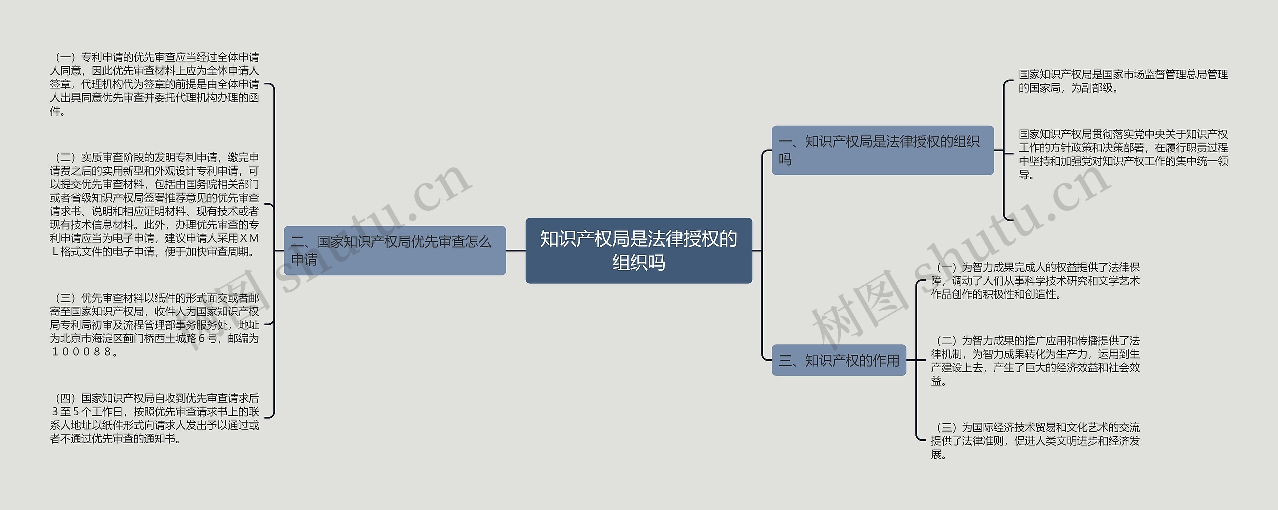 知识产权局是法律授权的组织吗