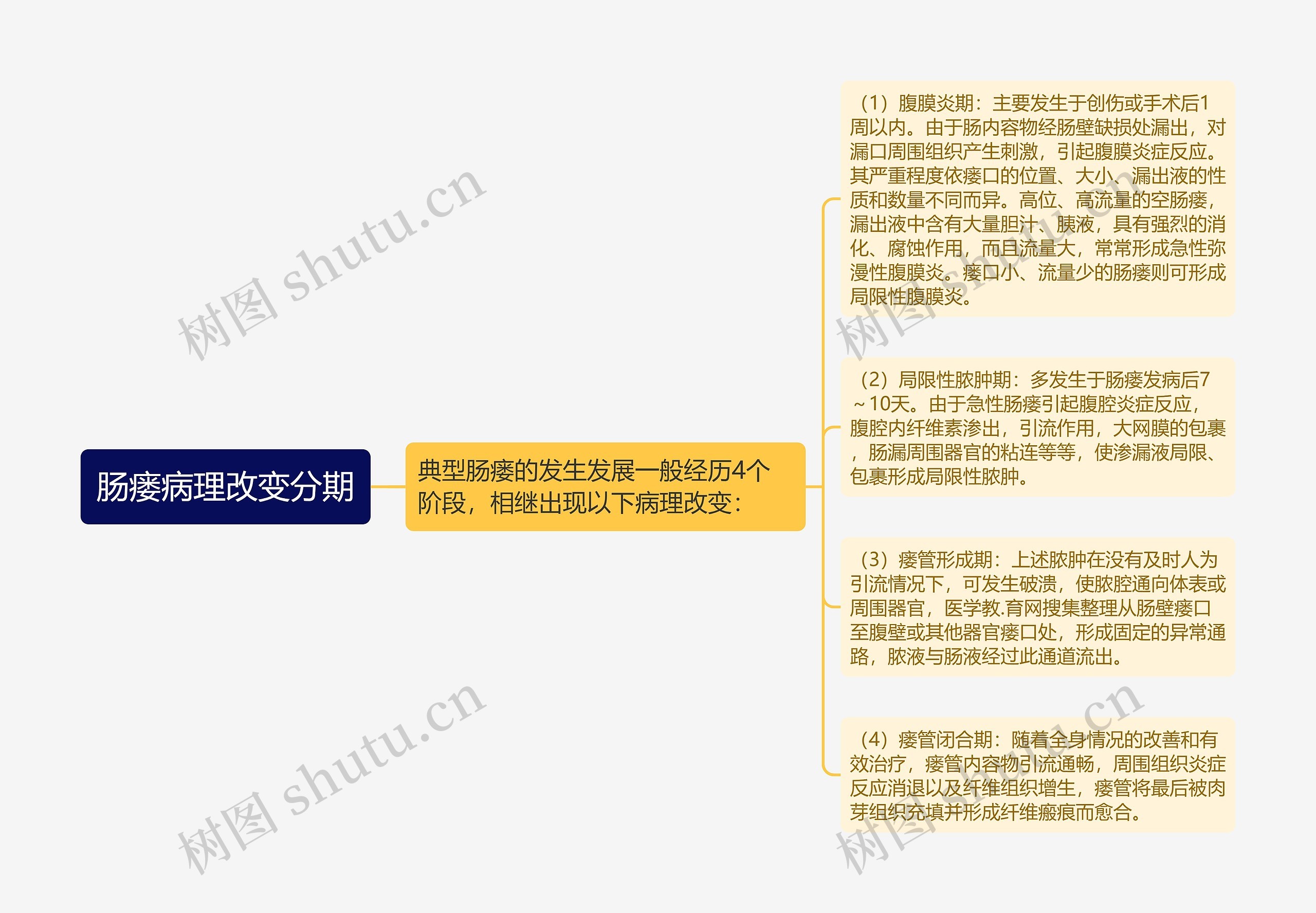 肠瘘病理改变分期思维导图