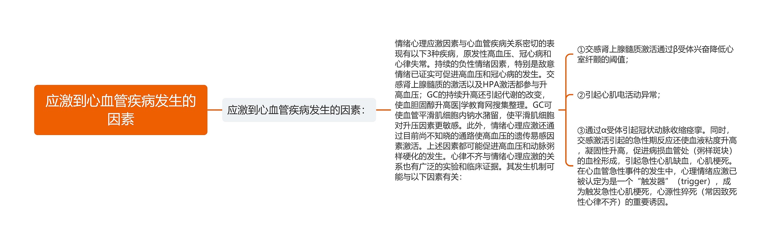 应激到心血管疾病发生的因素