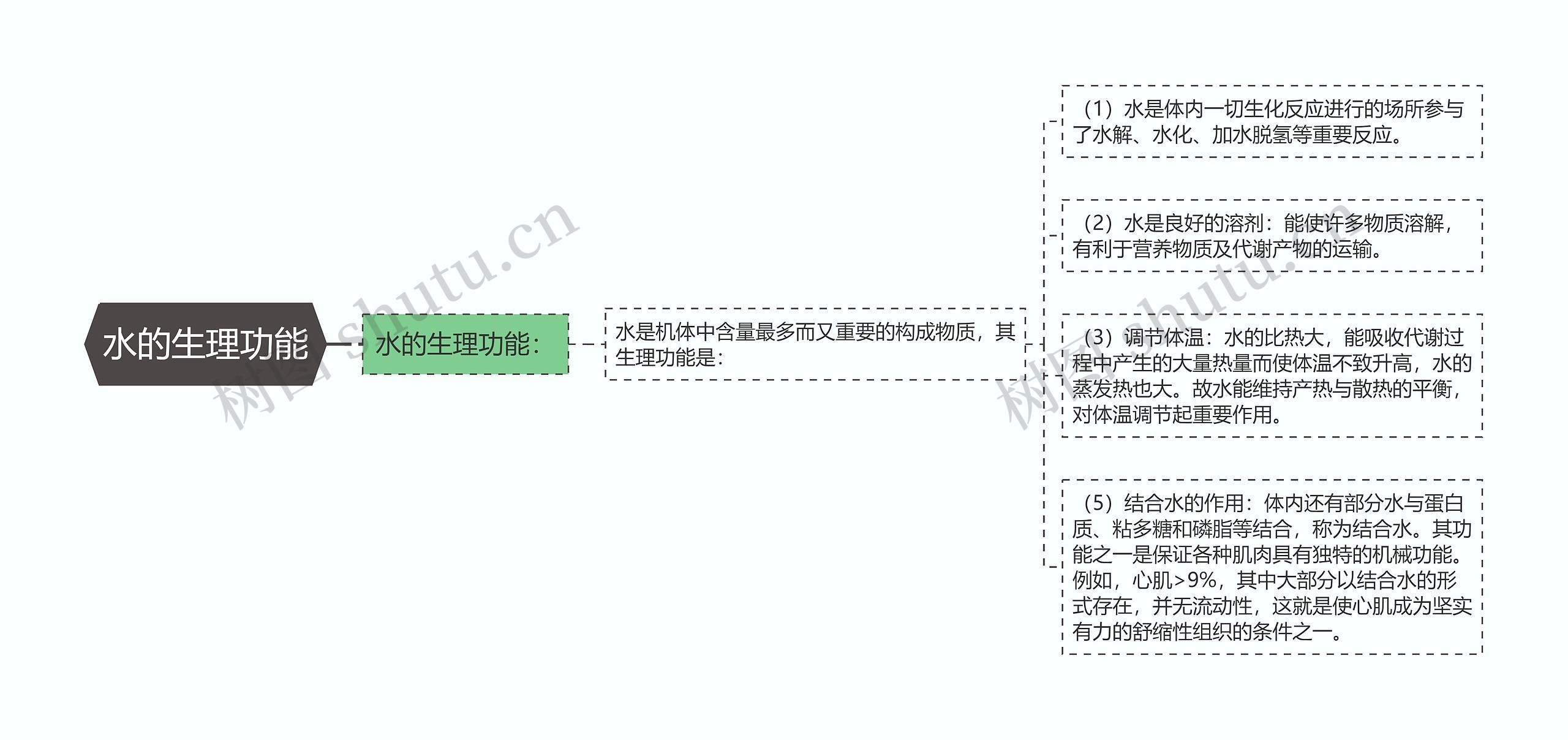 水的生理功能思维导图