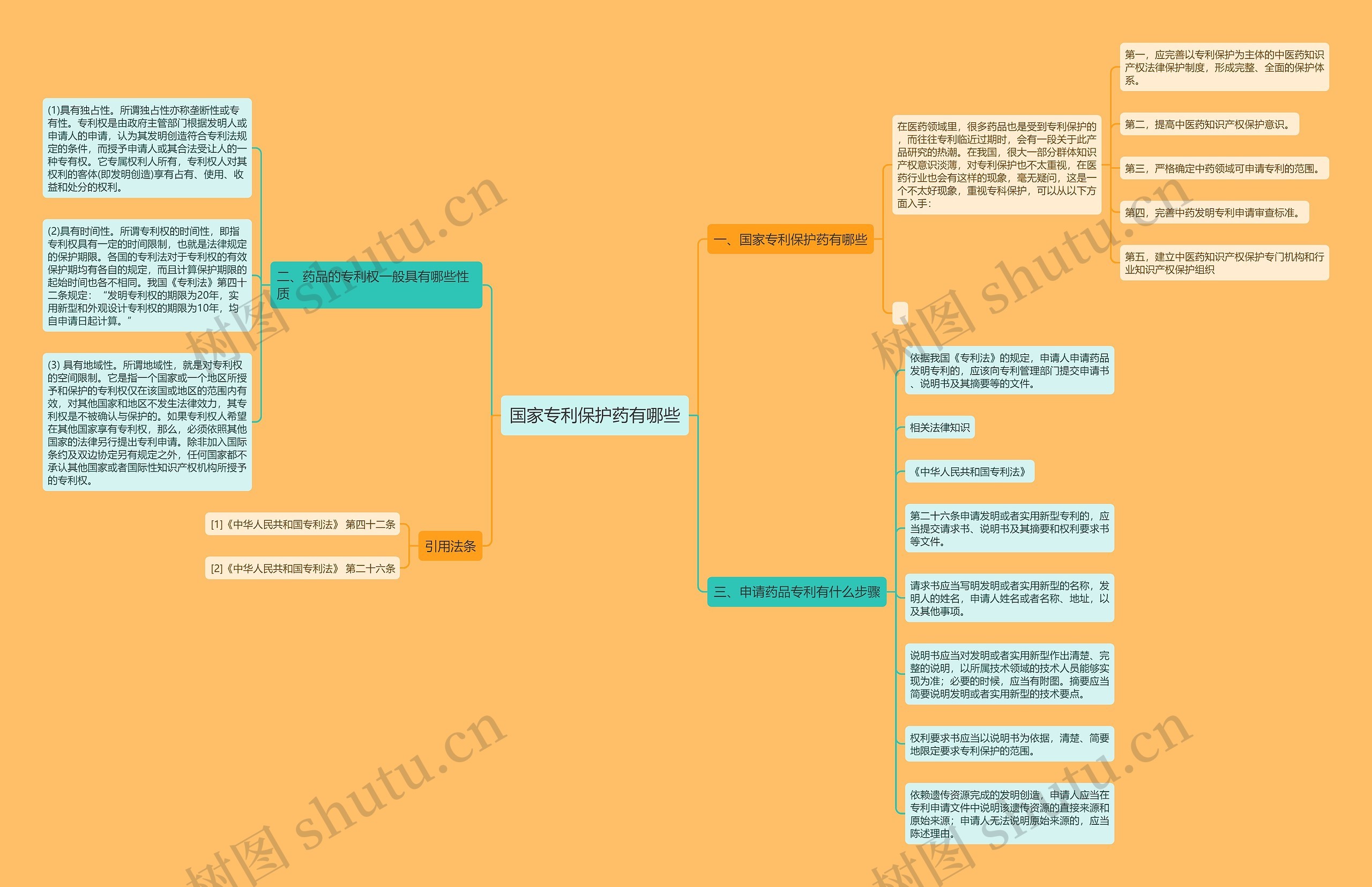 国家专利保护药有哪些思维导图