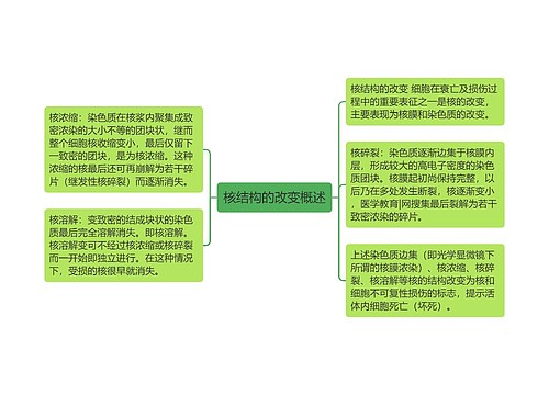 核结构的改变概述