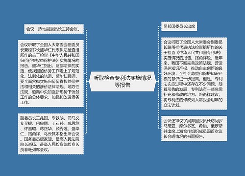 听取检查专利法实施情况等报告