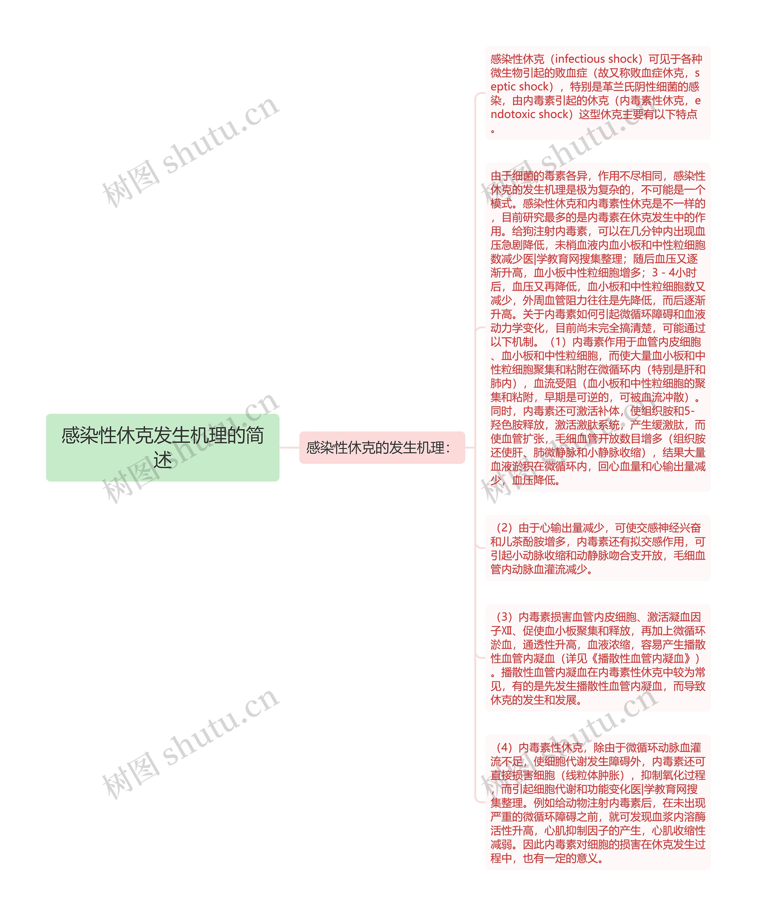 感染性休克发生机理的简述