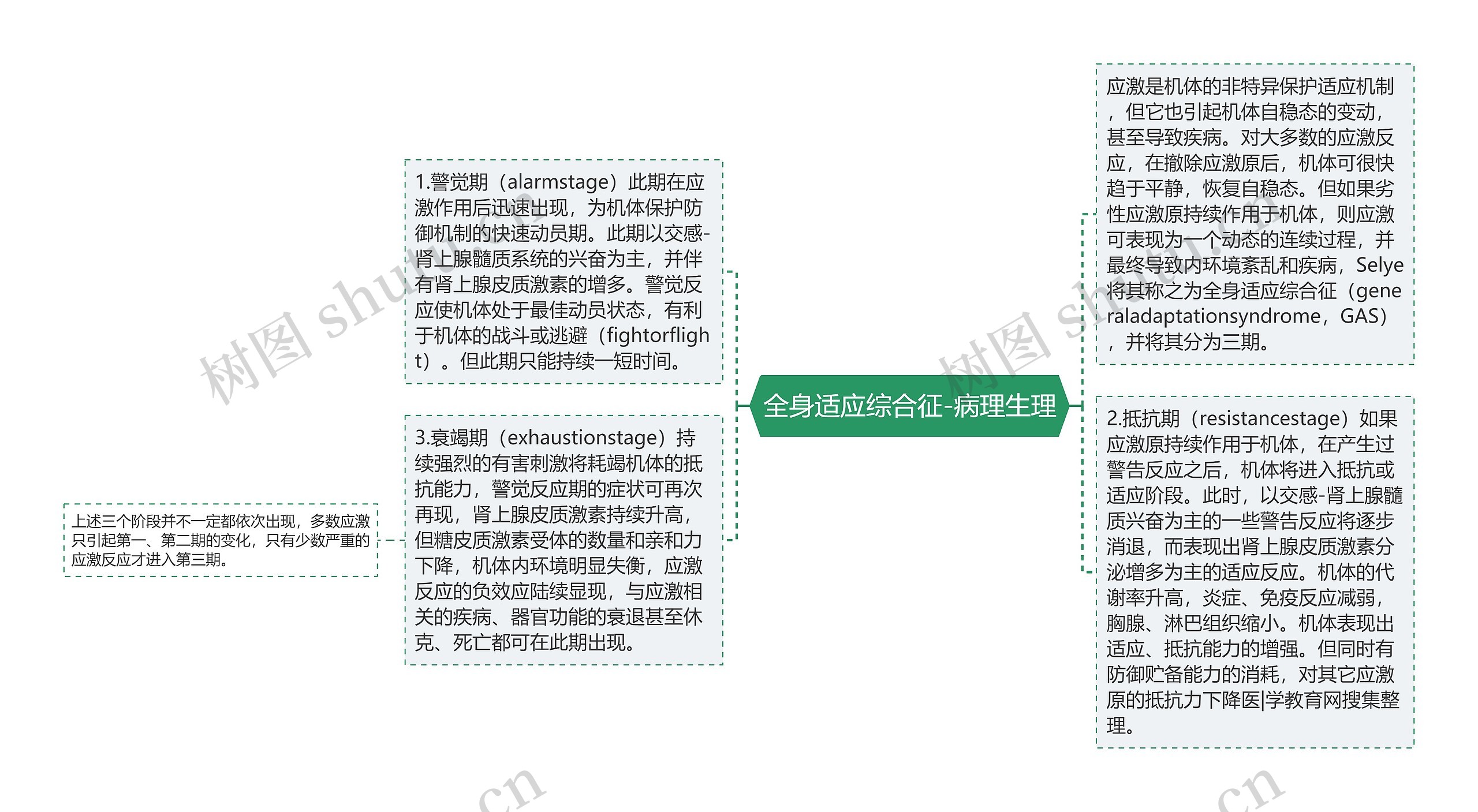 全身适应综合征-病理生理思维导图