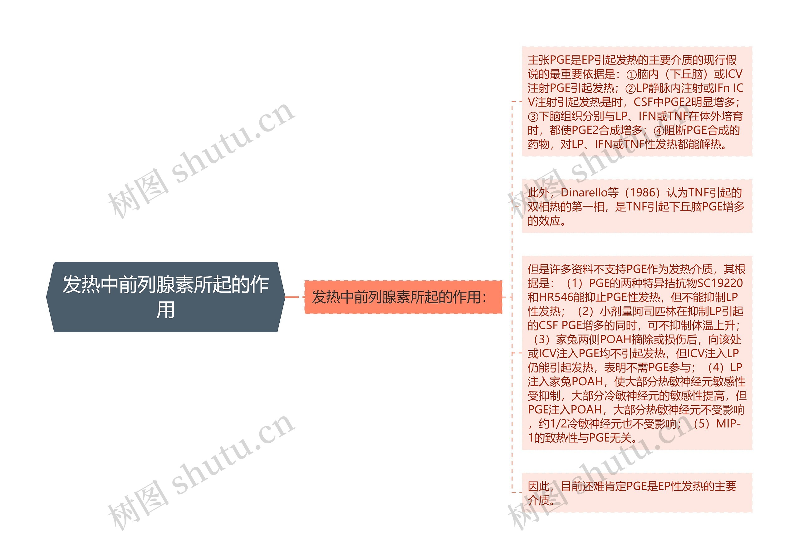 发热中前列腺素所起的作用思维导图