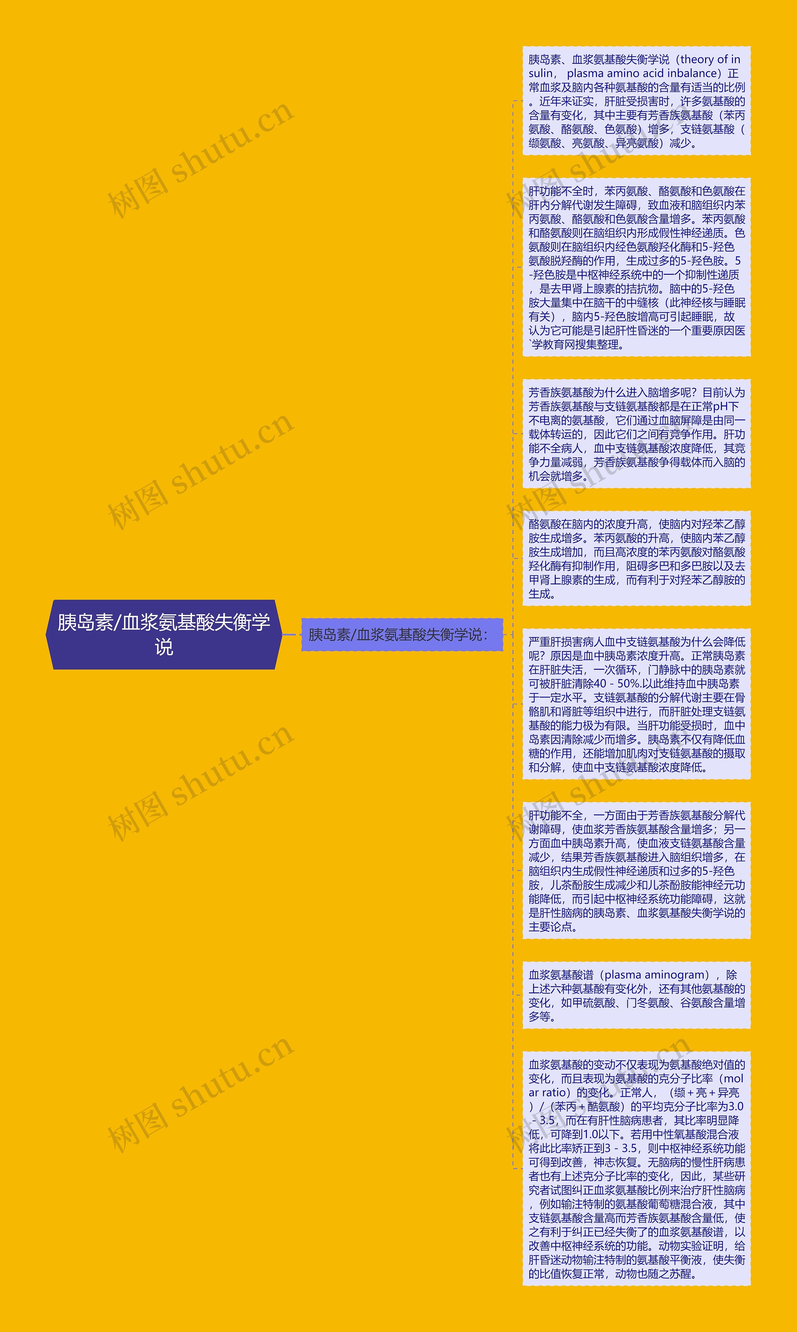 胰岛素/血浆氨基酸失衡学说思维导图